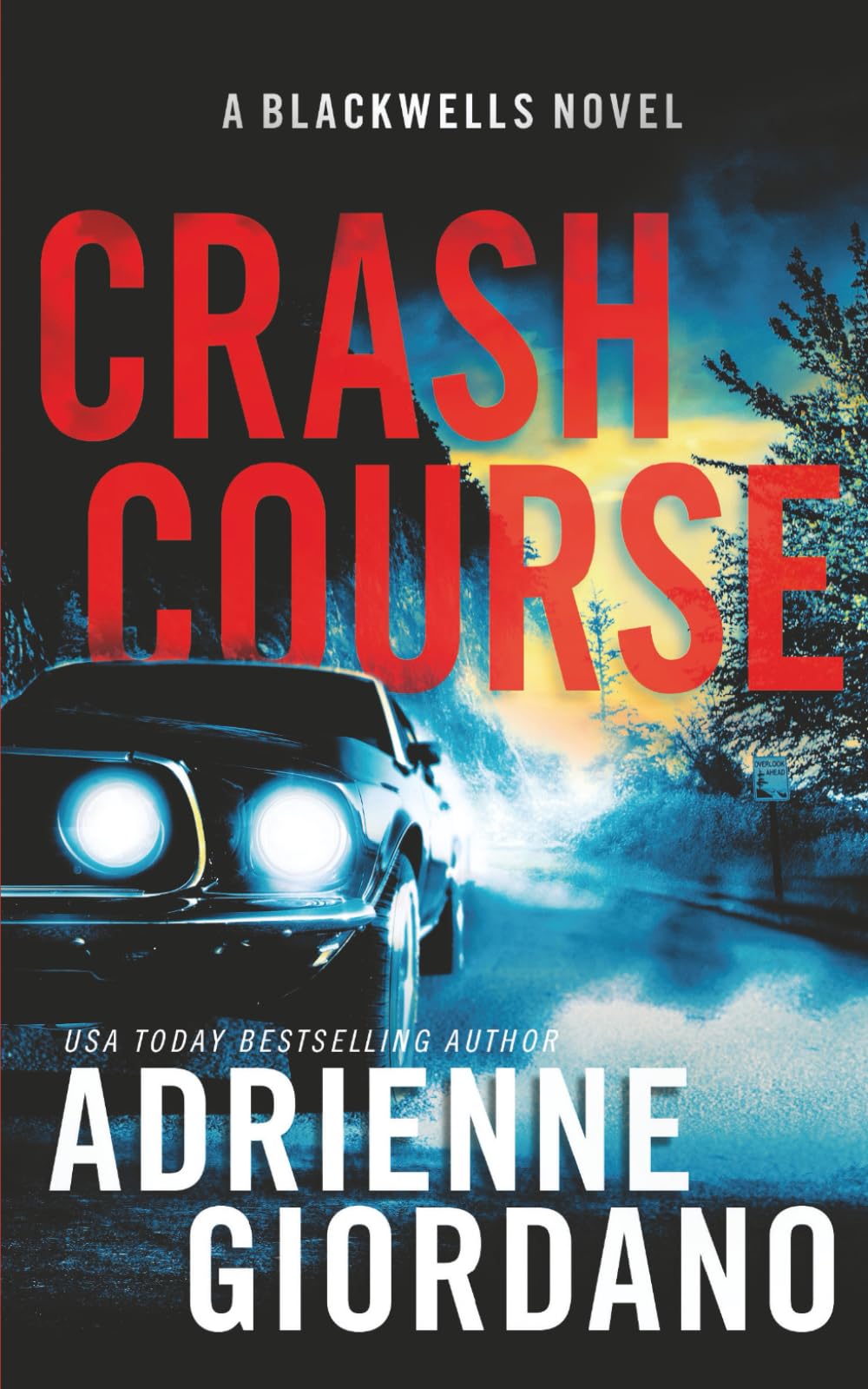 Crash Course: A Romantic Suspense Novel (Steele Ridge: The Blackwells)
