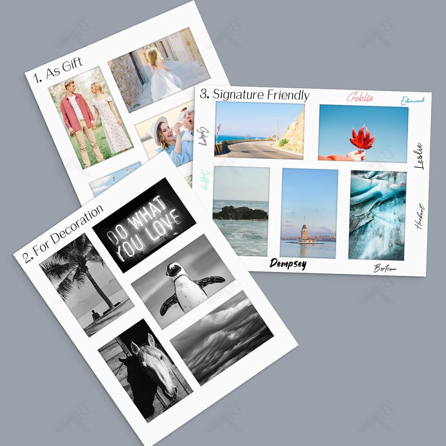 Golden State Art, 11x14 Bevel Cut Mats for Five 4x6 Photos, Photographs, Prints, Artworks, Acid-Free White Core - Great for Graduations, Frames (White, 5-Pack)