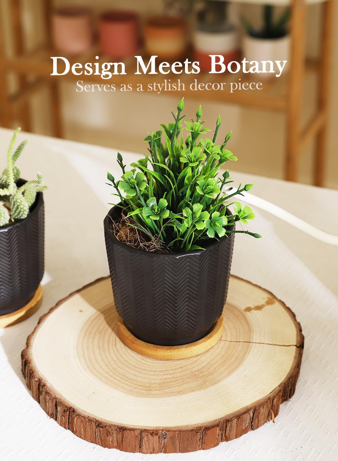 OMAYKEY 4.5 Inch Plant Pots with Saucer, Ceramic Black Planters Pots with Drainage Hole and Mesh Pads for Succulent, Cactus, Herbs - 4 Packs(Plant Not Included)