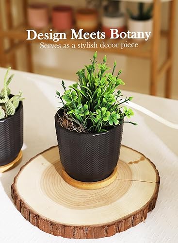 Miniatura 2 de OMAYKEY Macetas de 4.5 pulgadas con platillo, macetas de cerámica negra con orificio de drenaje y almohadillas de malla para suculentas, cactus,