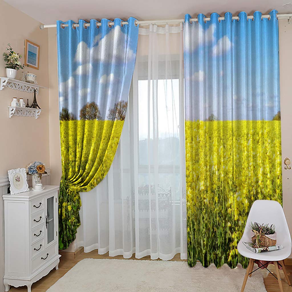 Morbuy Gardinen Blickdicht Vorhänge 2er Set mit Ösen und Raffhalter, 3D Drucken Modern Verdunkelungs Thermo Vorhänge-Set für Wohnzimmer Schlafzimmer Kinderzimmer (168x183cm *2,Gelber Blumenkohl)