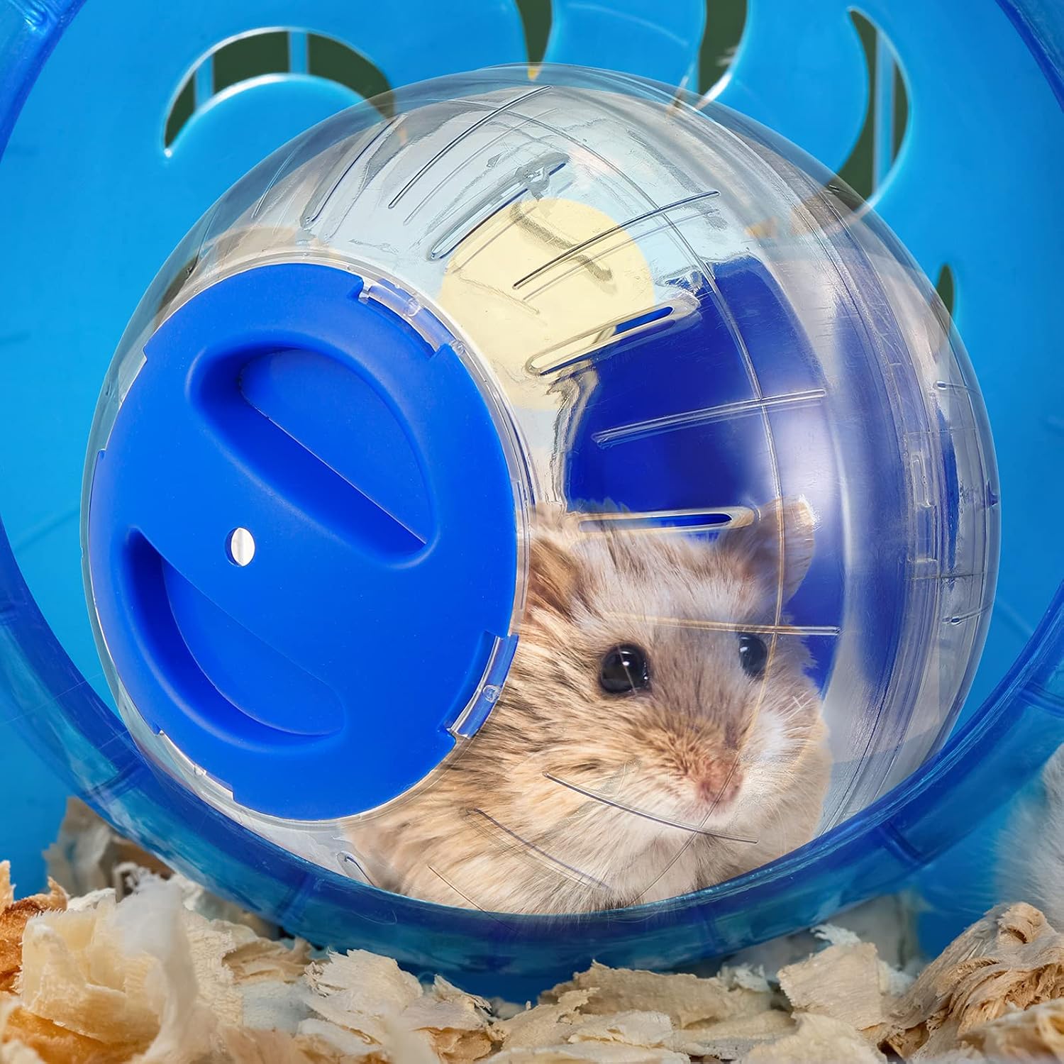 Image showcasing 2 Pieces Hamster Exercise Ball 4.8 Inch Transparent Hamster Ball Mini ...