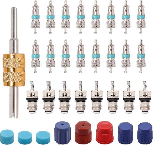 TWTADE Kit de núcleo de válvula de aire acondicionado para automóvil, AC R12 R134a, núcleos de vástago de válvula Schrader de refrigeración con