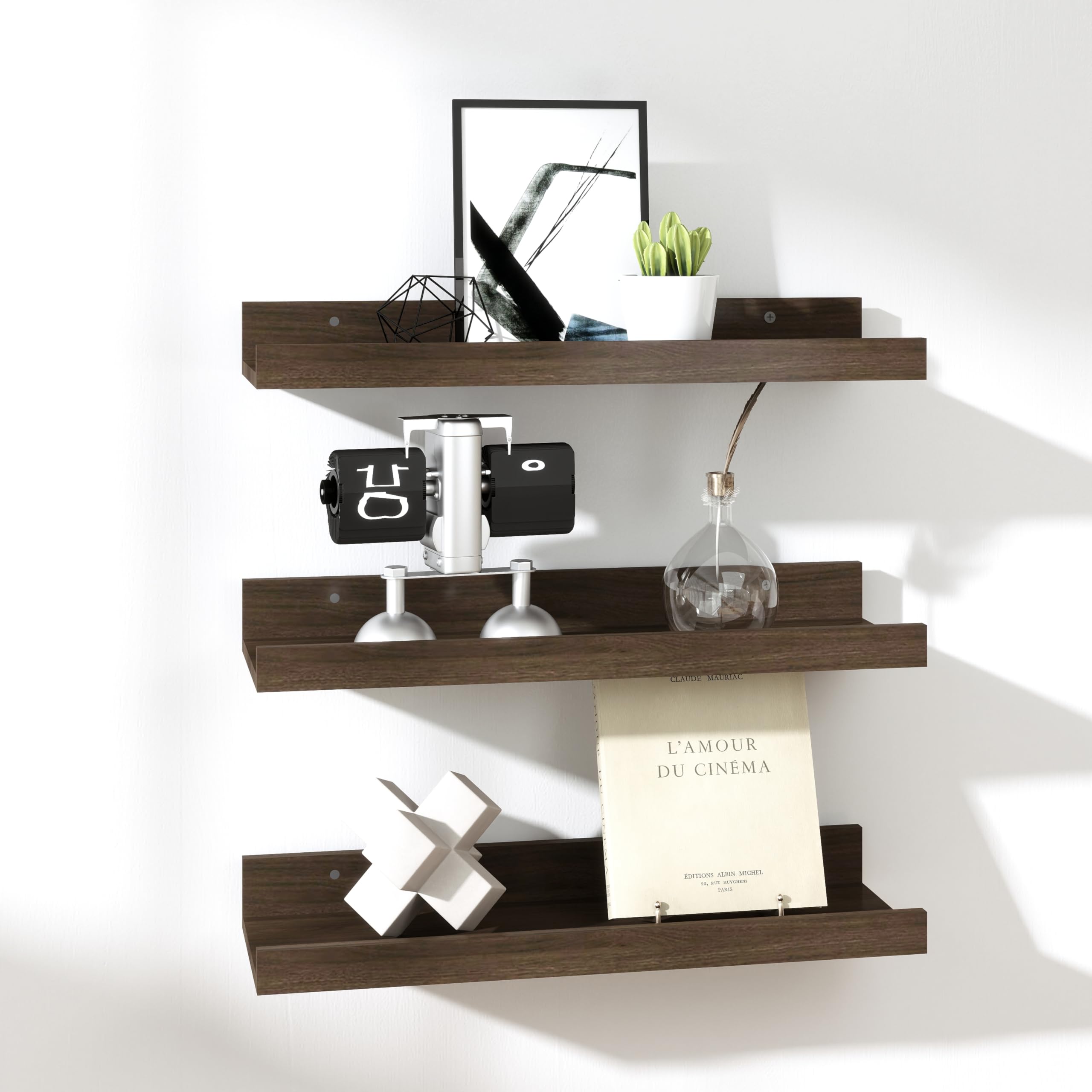 RICHER HOUSE Black Floating Shelves for Wall with Lip, 60 CM, Dark Wood โ image 1