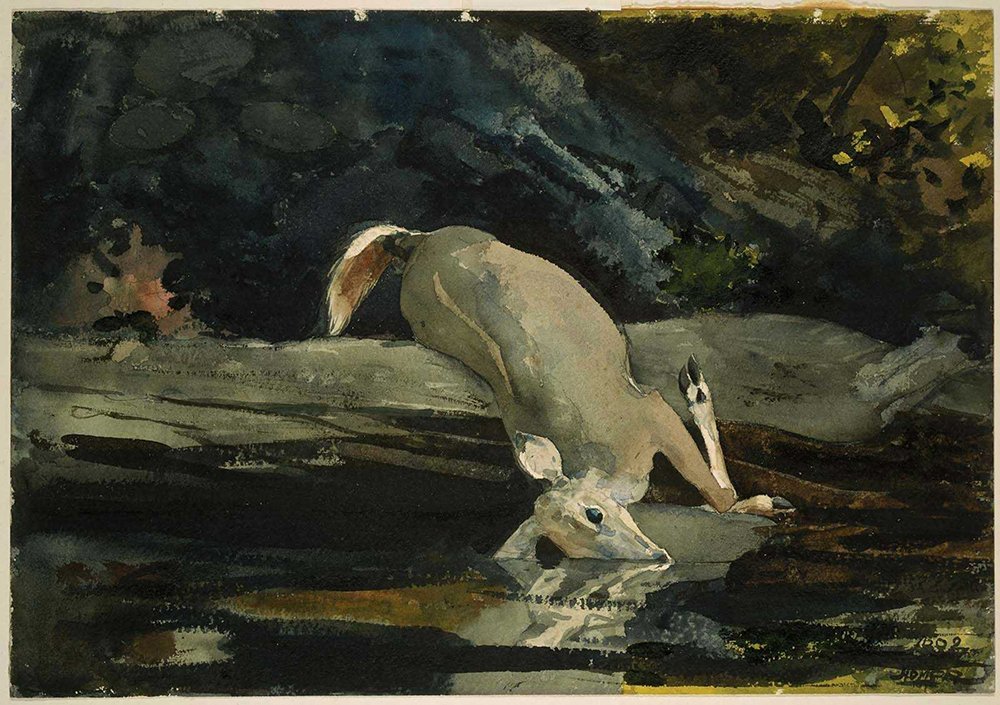 Lámina The Fallen Deer Winslow Homer cuadro pequeño con marco marrón mate