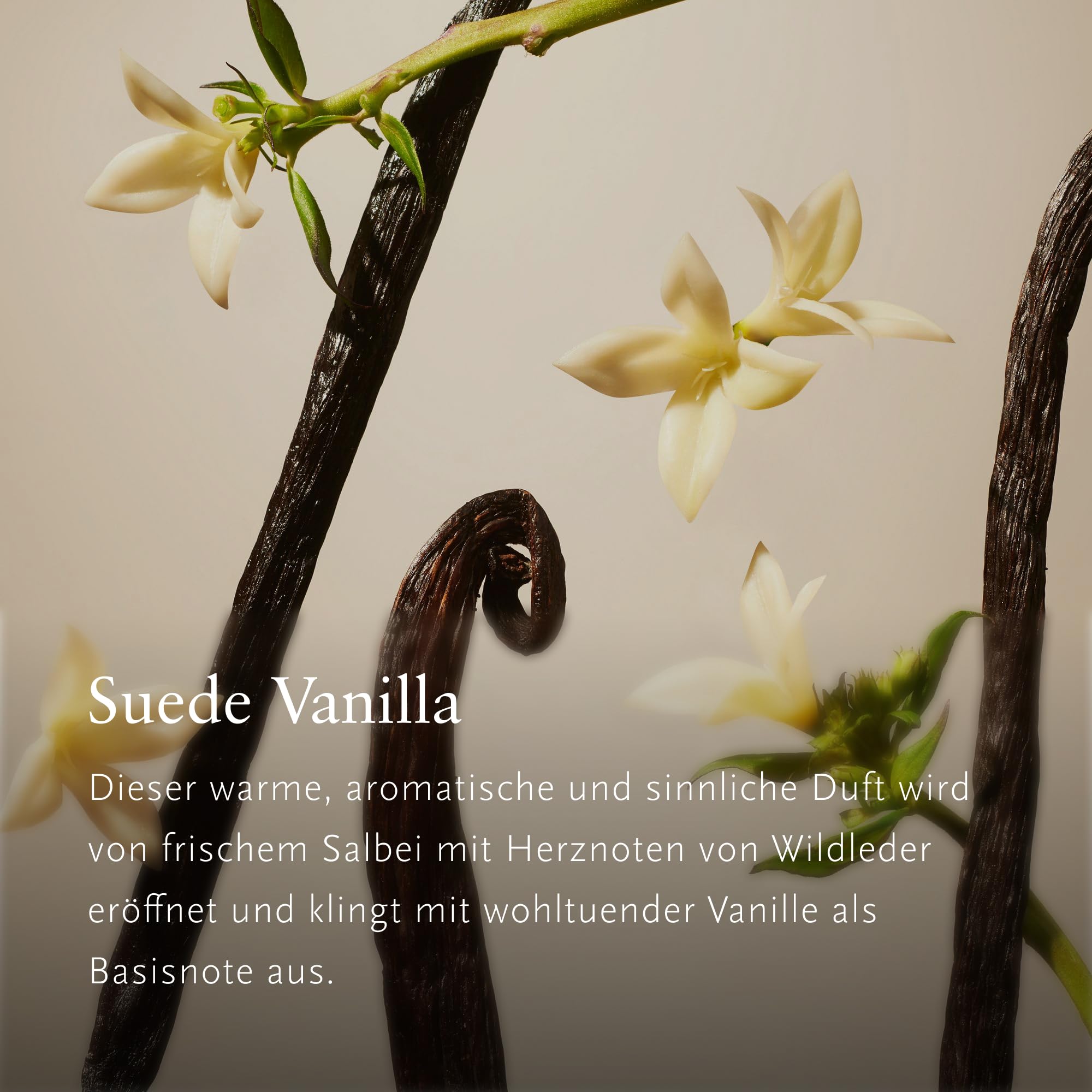 RITUALS Geschenkset Suede Vanilla Large – luxuriöse Raumdüfte aus der Private Collection – Aromatherapie-Geschenkbox mit Raumparfüm, Duftkerze und Duftstäbchen