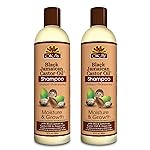 OKAY Black Jamaican Castor Oil Shampoo - Jamaican Castor Shampoo for Hair Growth, Natural Moisturizing to Strengthen & Restore Damaged Hair for Women and Men - 12 Fl Oz (Pack of 2)