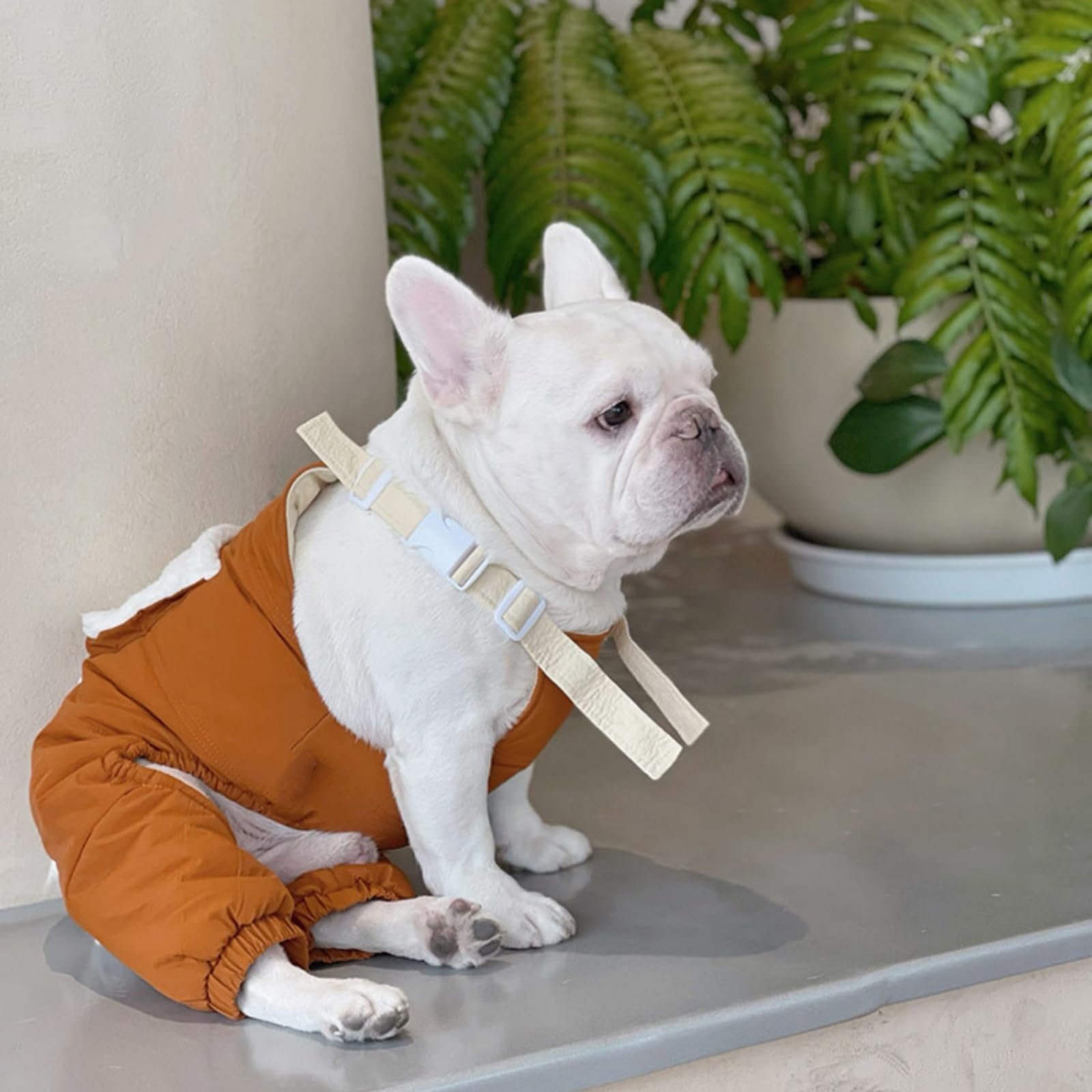 Sneeuwpak voor honden, verstelbaar, voor de winter, voor puppy's en
