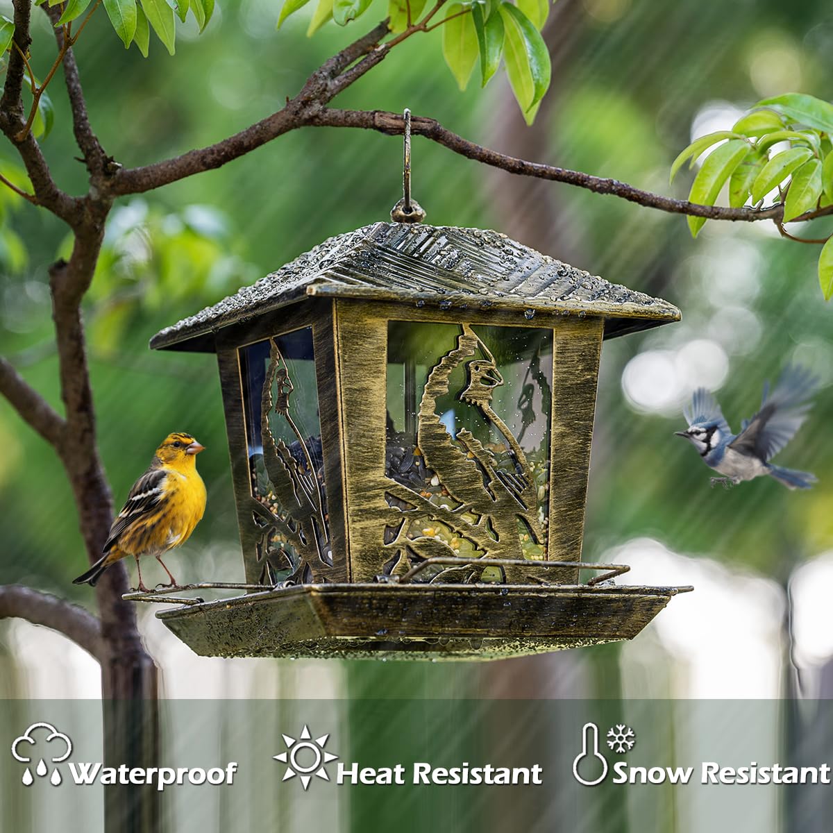 Birdream Vogelfutterspender Schloss-Design – Eichhörnchensicher, 2,3 Kg Fassungsvermögen