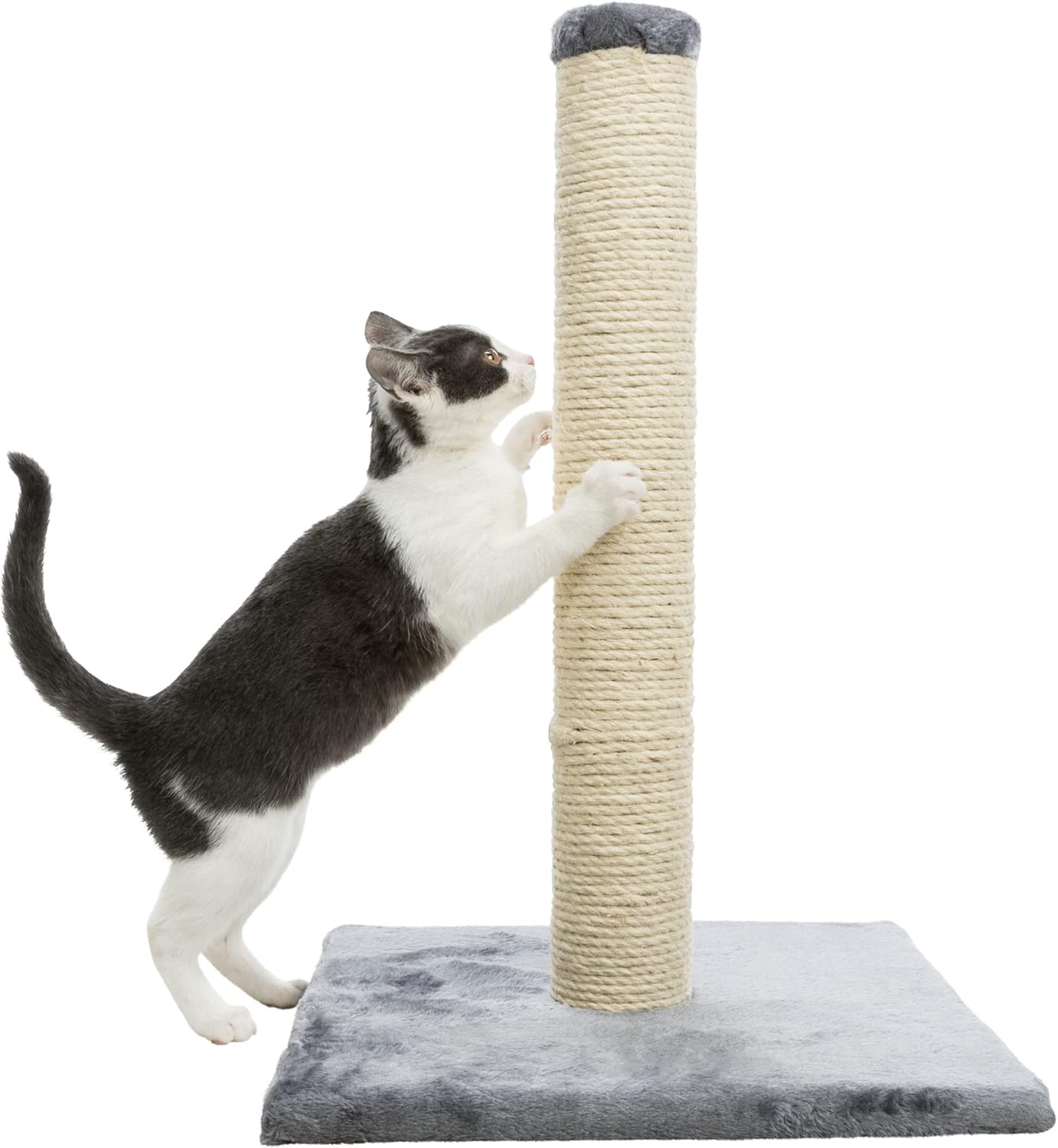 TRIXIE Parla Scratching Post, Durable Sisal Rope, 24.5" Tall, Gray : Tools & Home Improvement