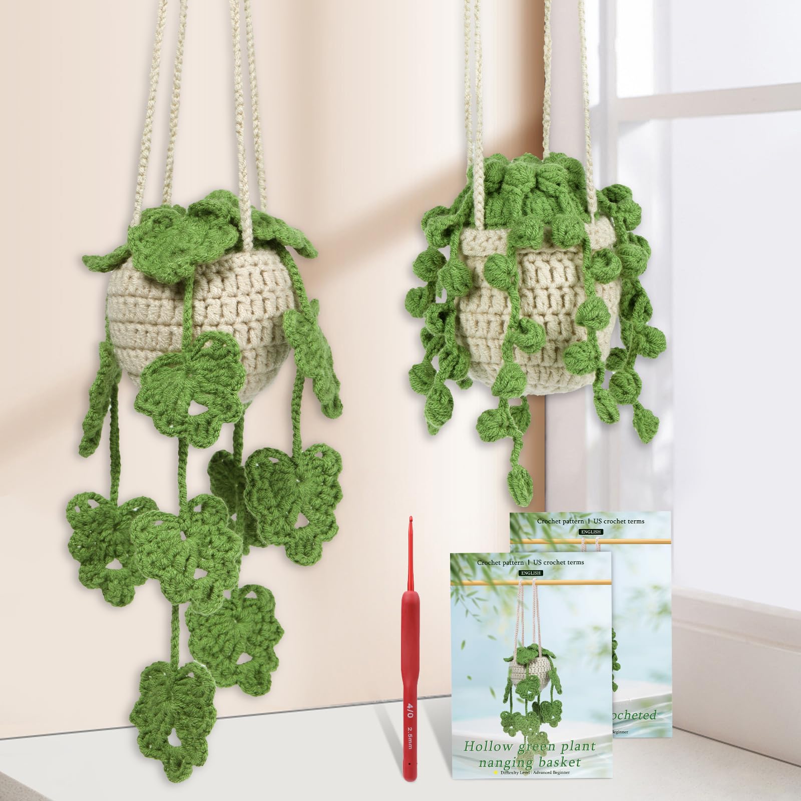 Kit Uncinetto Per Principianti Con Video Istruzioni | 6 Pezzi Per Creare Piante Grasse E Decorazioni Domestiche - Foto 2