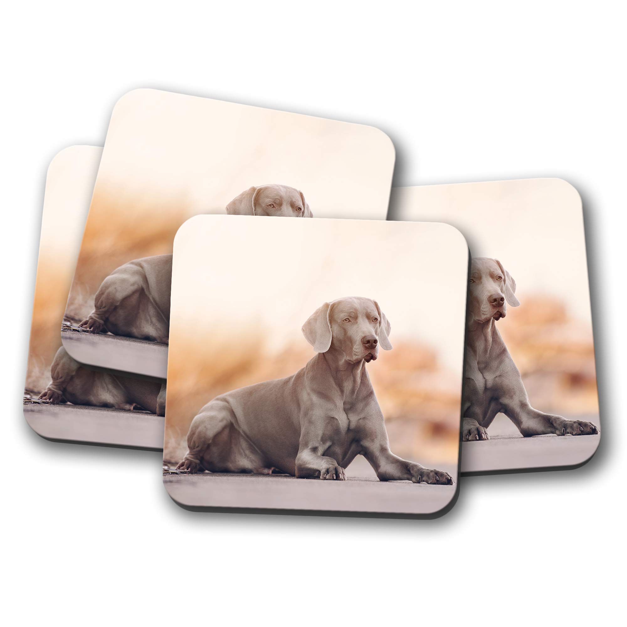 Destination Vinyl Ltd Multicolor 4 Set - Magnificent Weimaraner Dog Coaster - Exotic Breed Animals #16229