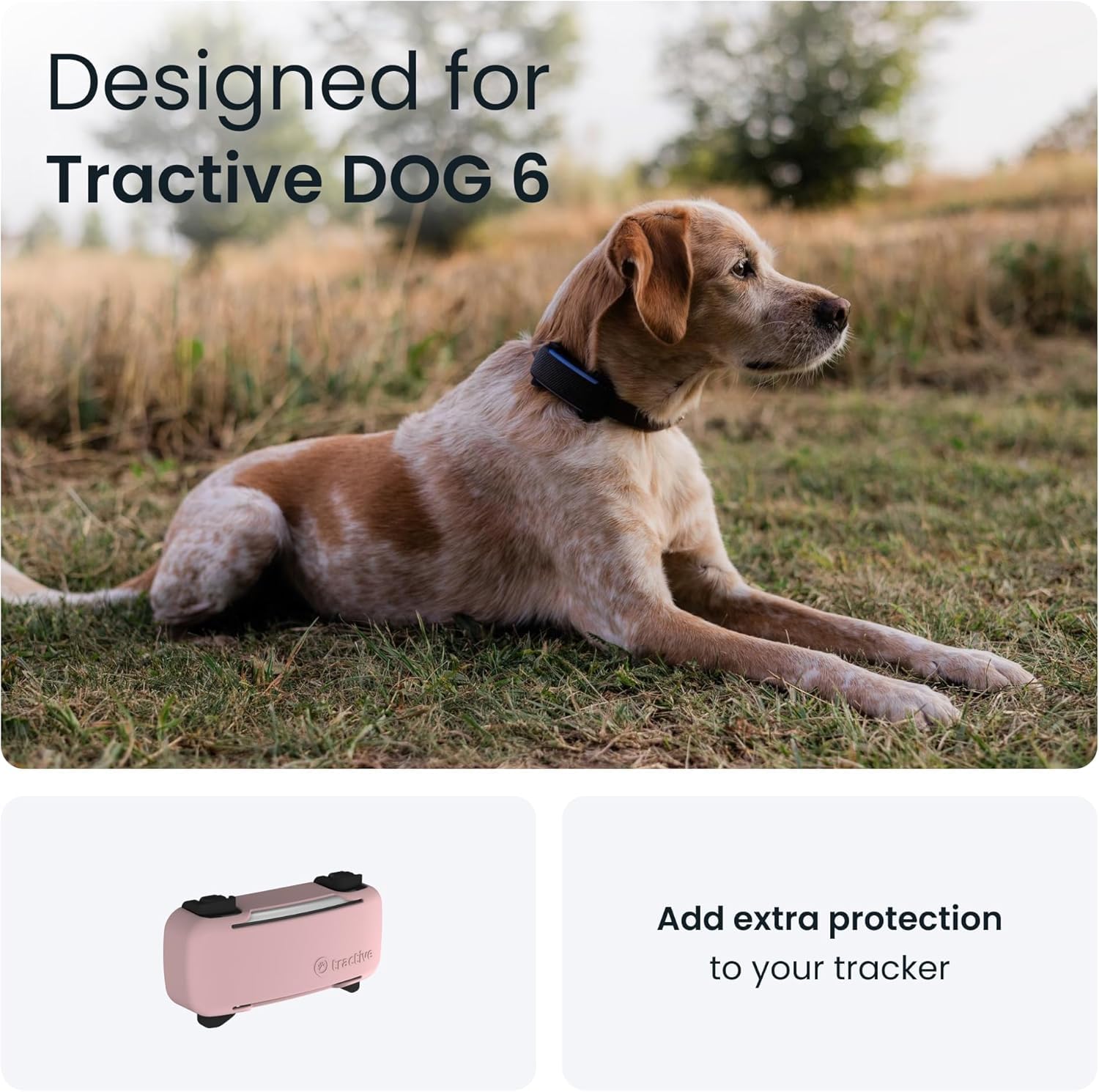 Amazon.com: Tractive GPS Dog Tracker (2025 Release) Real-time Pet
