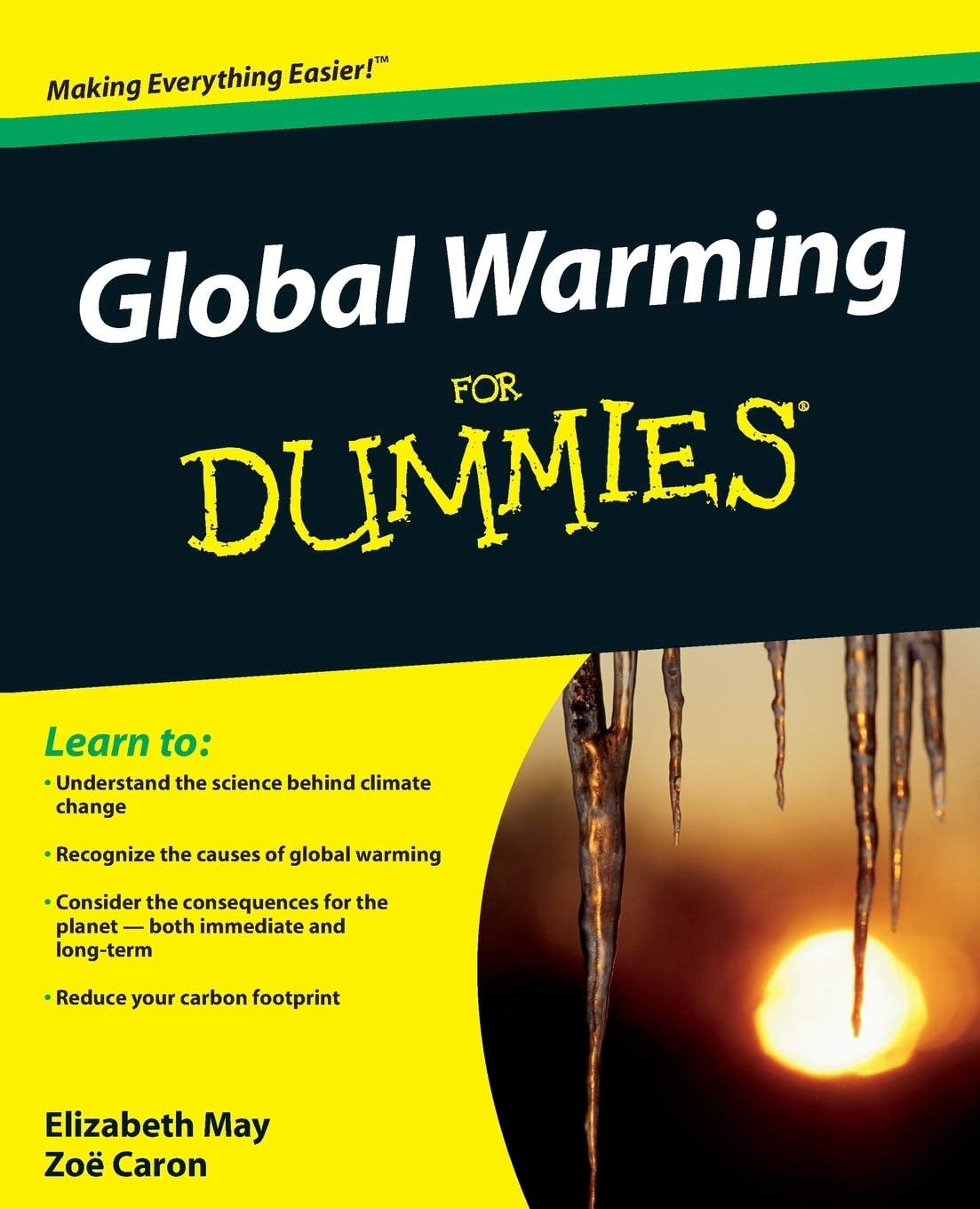 Global Warming For Dummies (For Dummies Series)