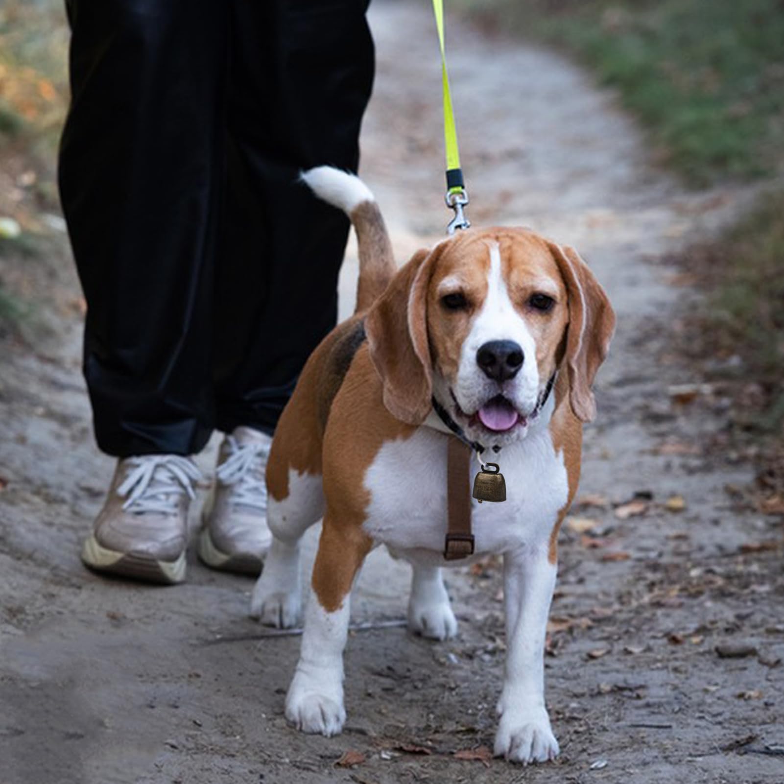 2 Pcs Cloches Pour Collier De Chat Et De Chien,Clochettes En Métal Vintage Pour Animaux De Compagnie,Clochette Chien Chasse,Animal De Compagnie Cloches De Suivi,Grelot Chien Chasse(Couleur Bronze