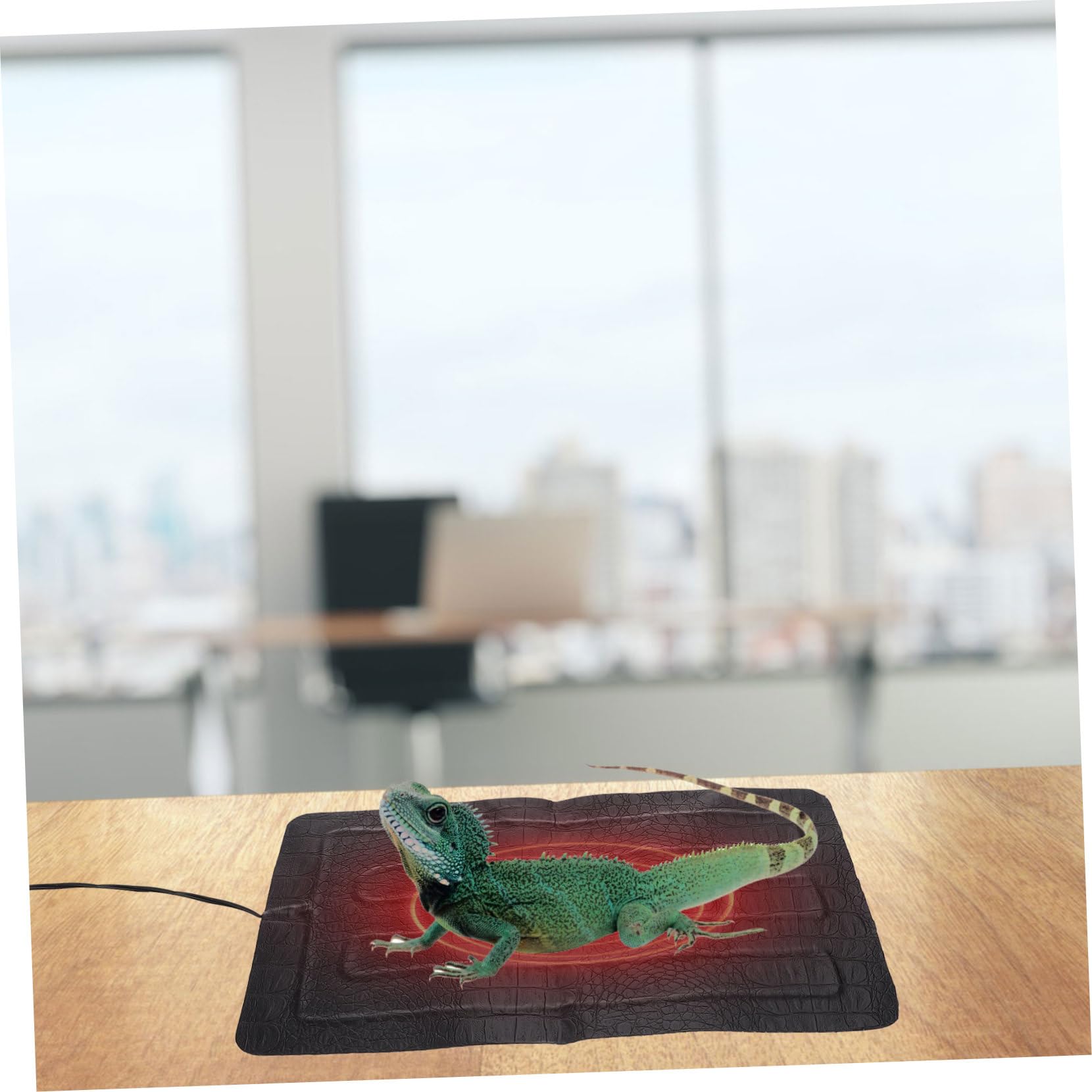 VANZACK Esterilla Térmica para Reptiles Pequeños Control USB de 3 Niveles, Calefacción Eléctrica en Cuero Negro para Mantener el Calor en Terrarios y Exteriores