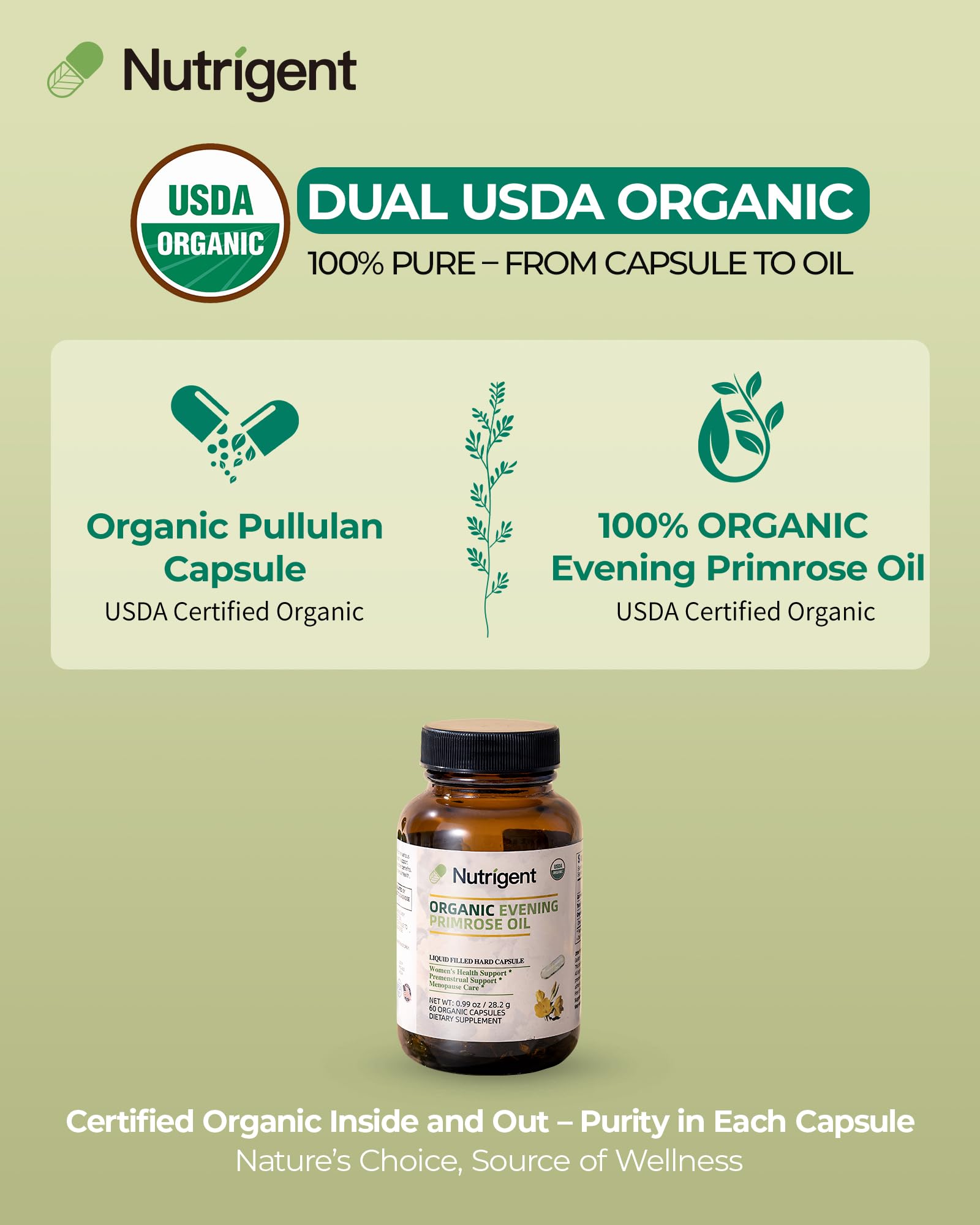 USDA Organic Evening Primrose Oil for Women with 10% GLA Capsules — Amazon image 3
