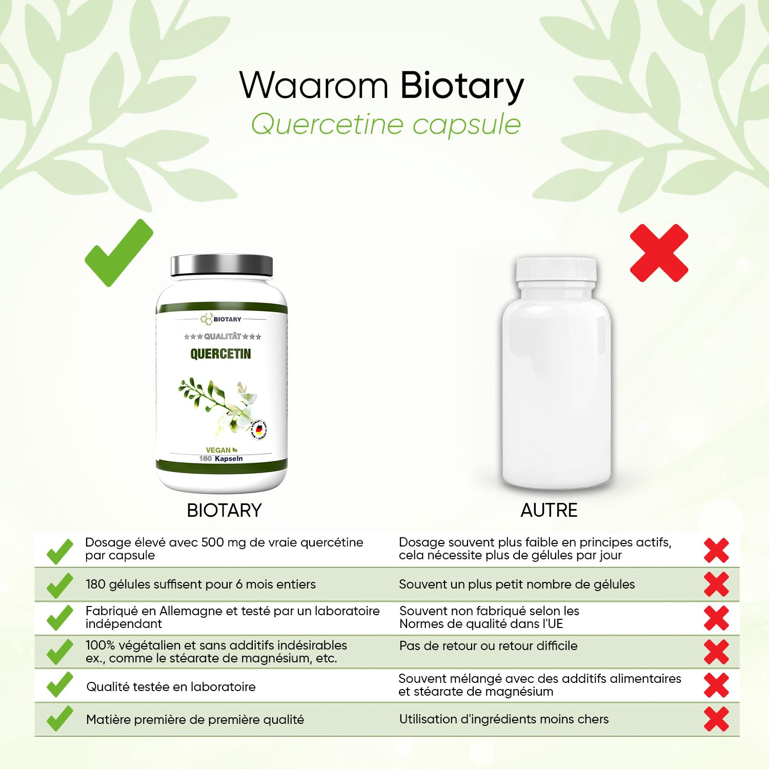Quercétine – 500 mg – 180 gélules – 6 mois – Avec boîte à pilules – Vegan – Extrait de fleur de Sophora du Japon 95% - Sans additifs