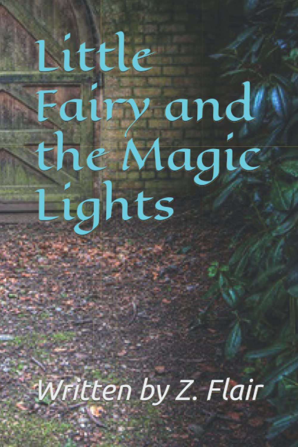 Little Fairy and the Magic Lights