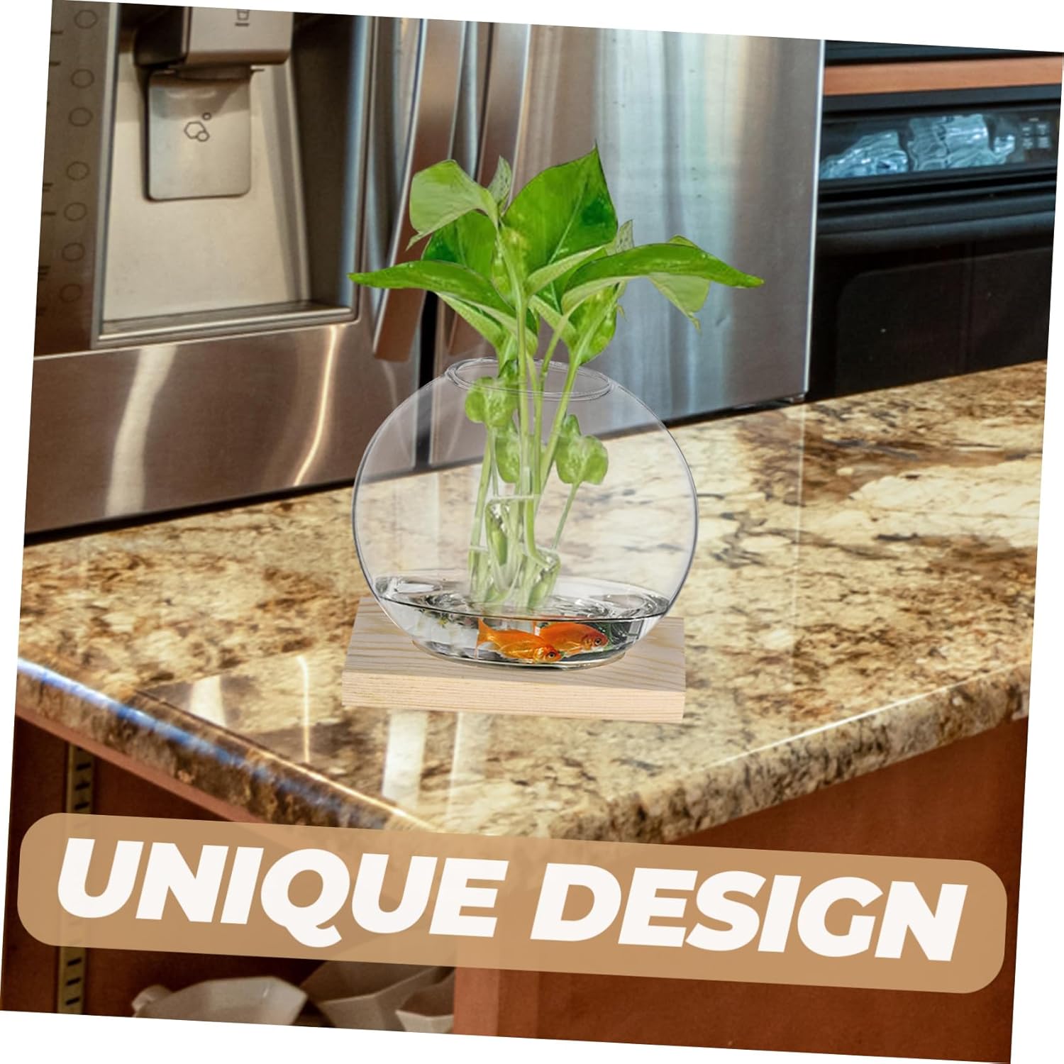 BESPORTBLE 4sets Nordic Style Hydroponic Plant with Stands for Decor Elegant Glass Propagation Holders for Indoor Plants for Displaying Greenery