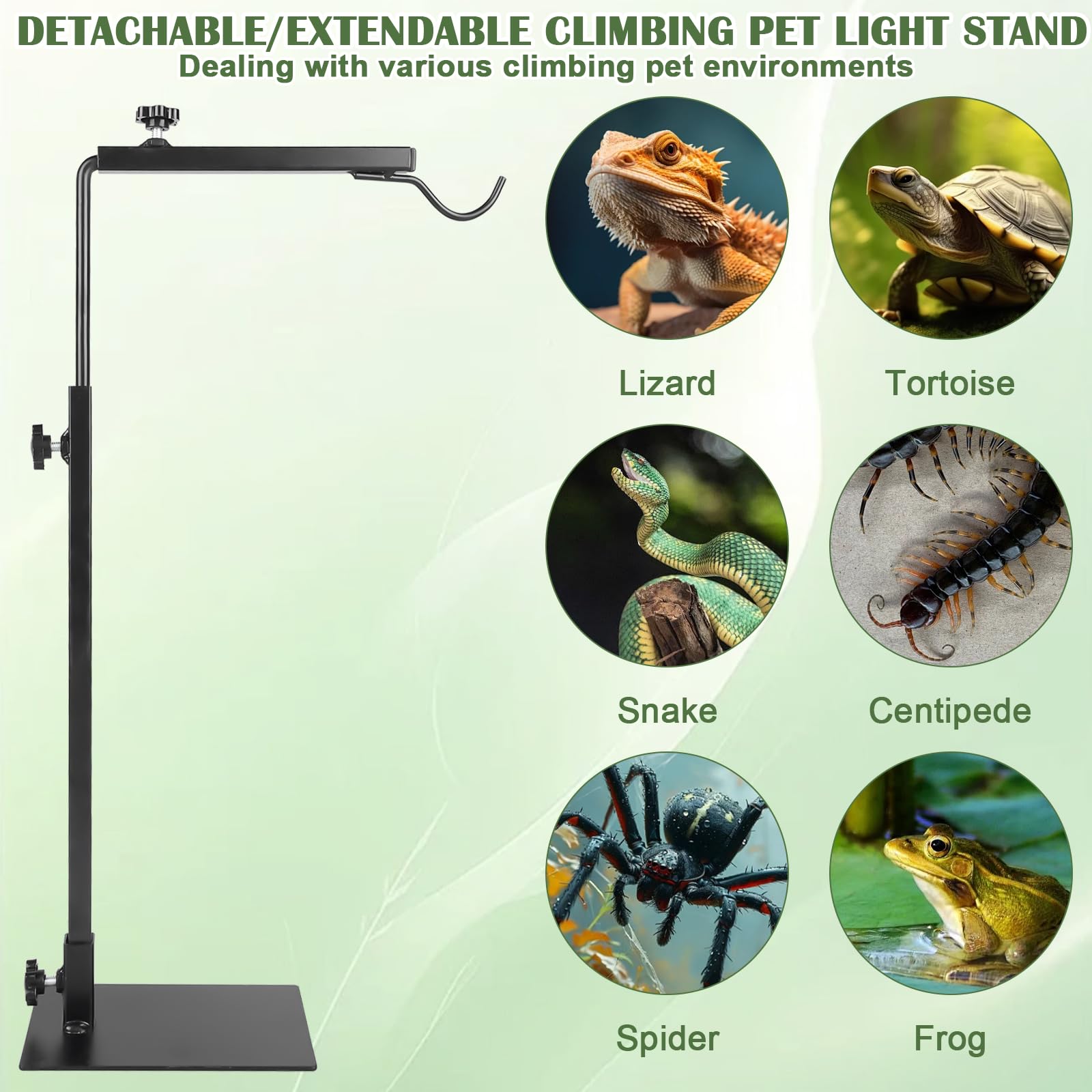 Reptilien Wärmelampenständer: Reptilien Lampenständer Verstellbarer mit Sockel, Reptilien Lampenhalter für Terrarium und Habitatkäfig, Verstellbar Höhe 38-64 cm Breite 20-30cm