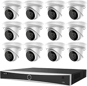 LTS LTN8716D-P16N with 2TB HDD + CMIP1042W-28MA 16-ch PoE 4K NVR w/ 2TB HDD + 4MP Turret IP Camera (12 Cameras) asin的图片