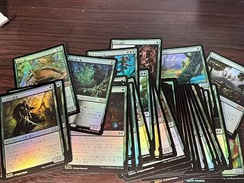 エルドレインの森　FOIL コンプリートセット　日本語 Amazon.co.jp: MTG エルドレインの森 foil フルコンプ No1-276