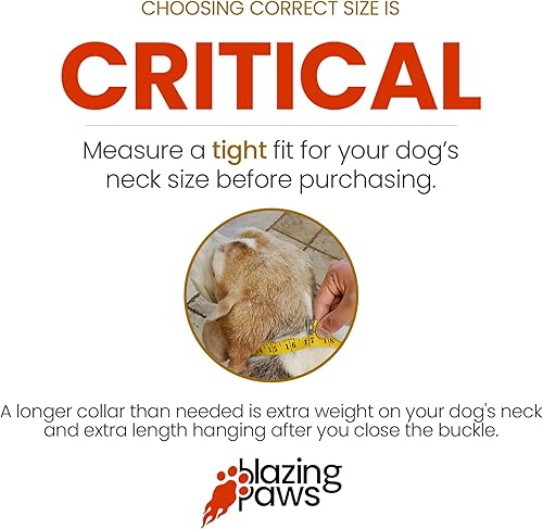 Miniatura 6 de BlazingPaws Sabrington - Collar de perro de cuero con púas de lujo de 2 pulgadas de ancho para perros grandes, cuero tostado bridle grueso con