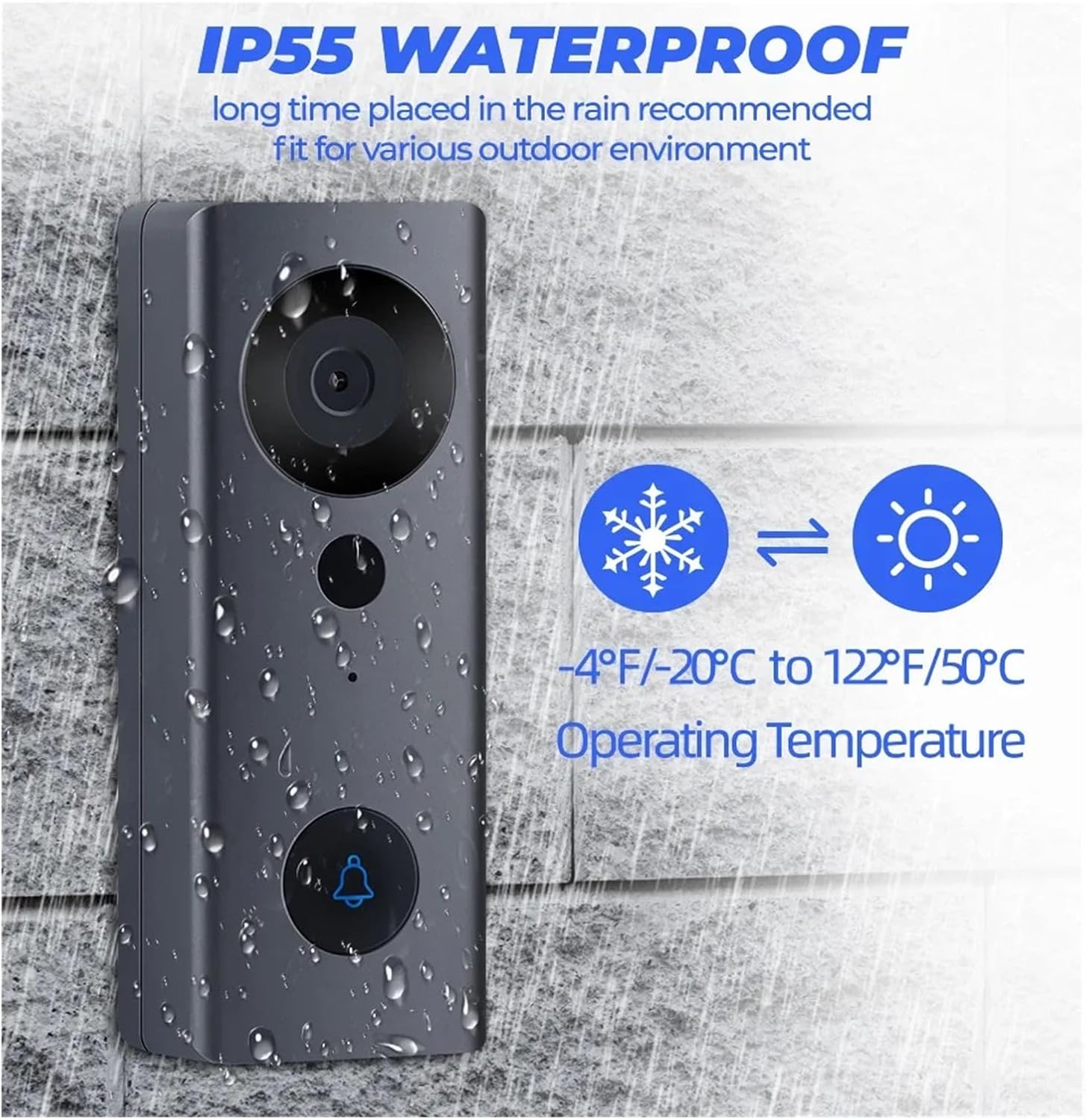 漆器 漆芸 福島塗 金色の紋入 盆 【森岡庄五郎】共箱 煎茶道具