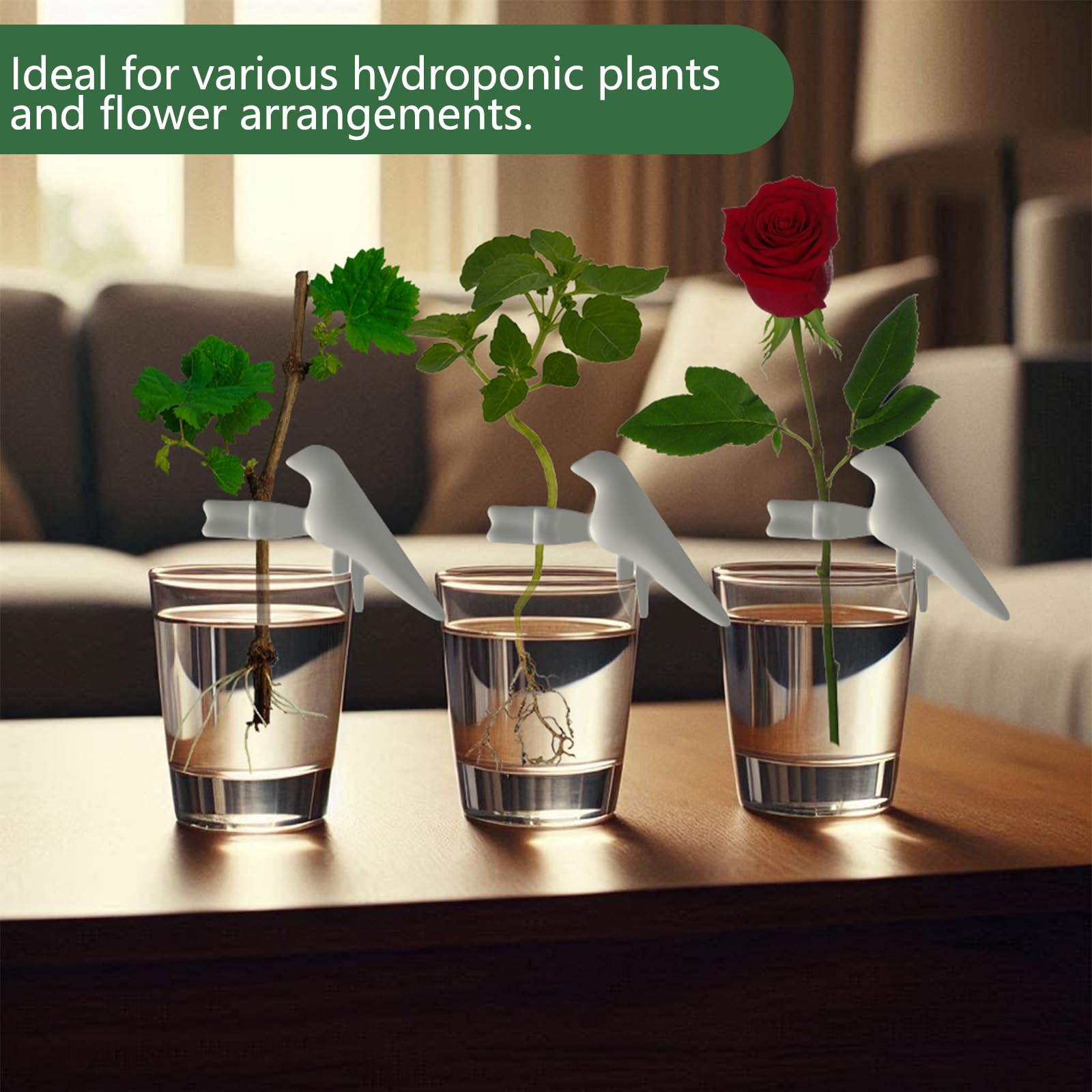 Station De Propagation Des Plantes Support De Tige En Forme D