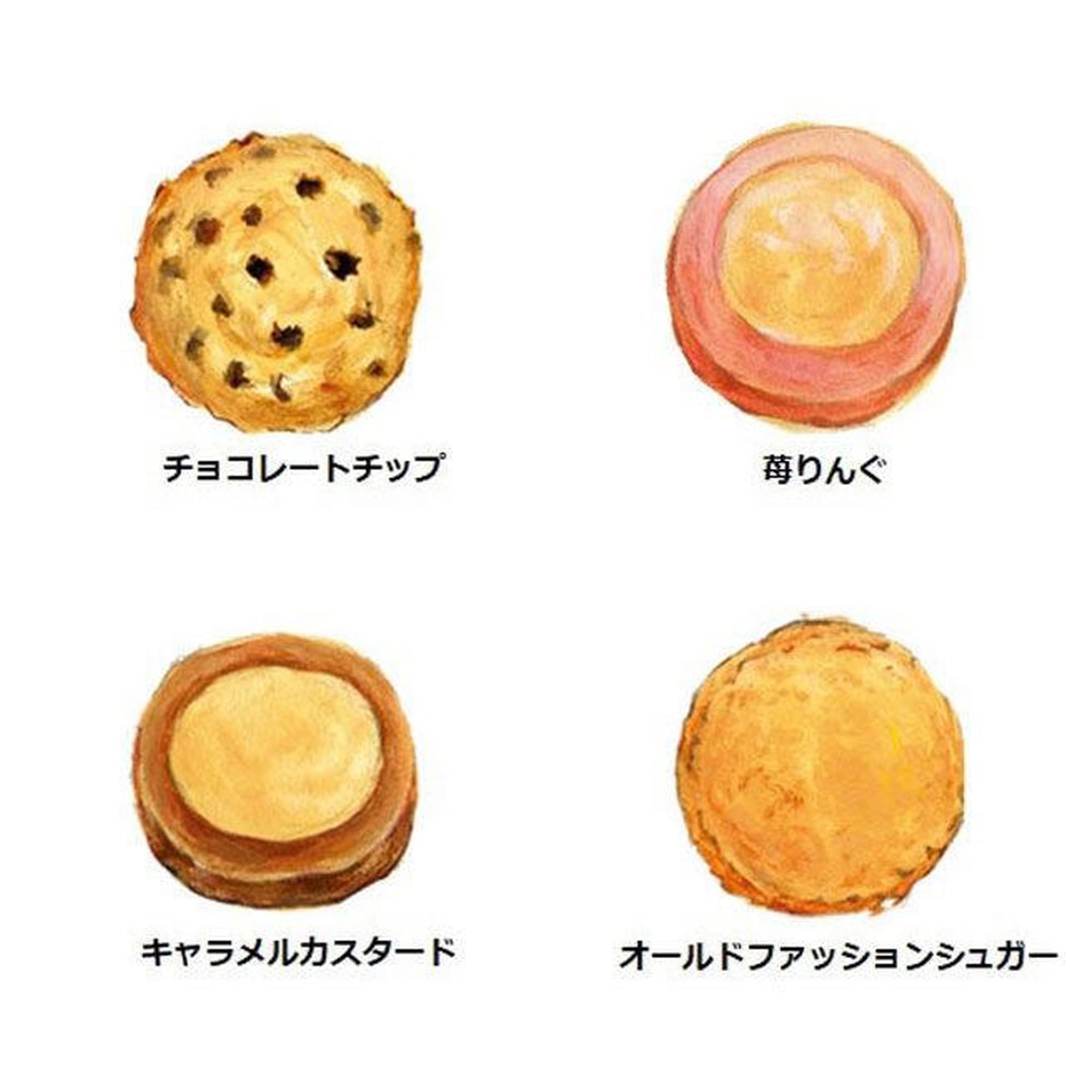 Amazon.co.jp: アントステラ カントリーベアテントボックス(白) 6枚×1