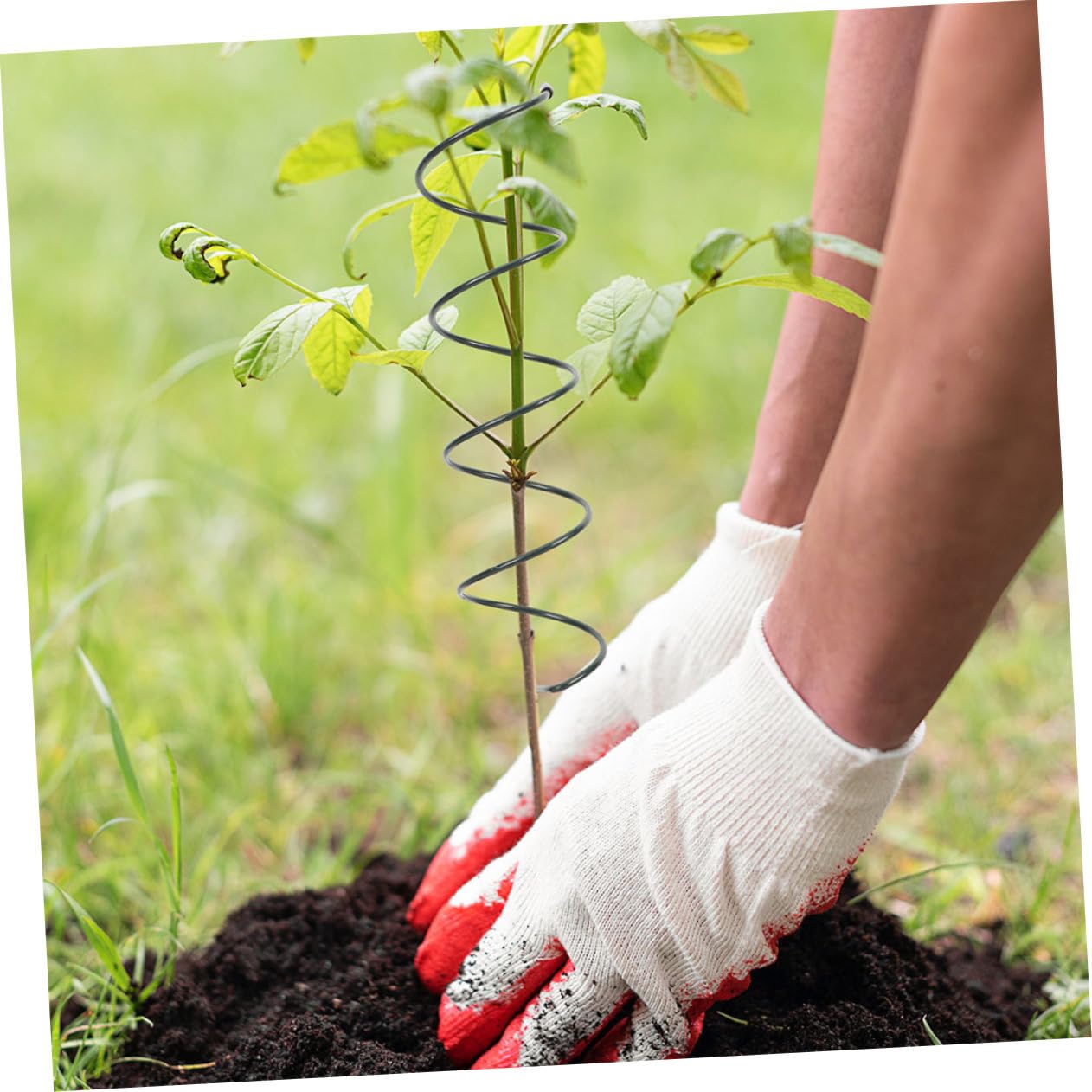 8pezzi Supporto per Piante Spirale Metallo per Giardino Picchetti per Piante Supporti Regolabili per Viti e Fiori Resistente e Facile da Installare