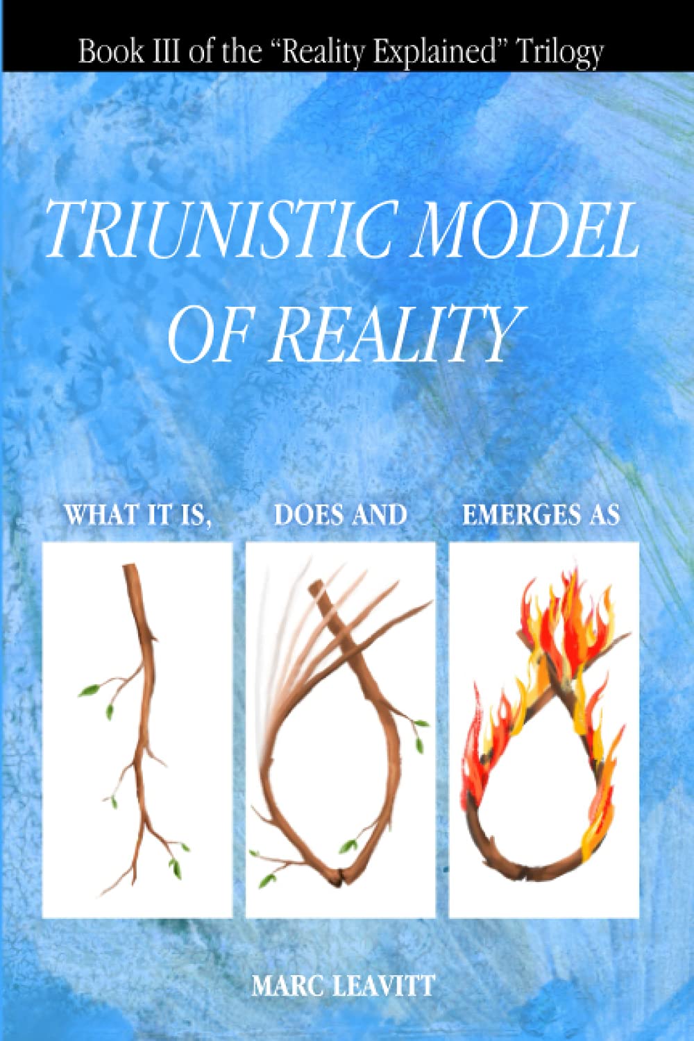 A Triunistic Model of Reality: What It Is, Does and Emerges As.: 3 (Reality Explained Trilogy)
