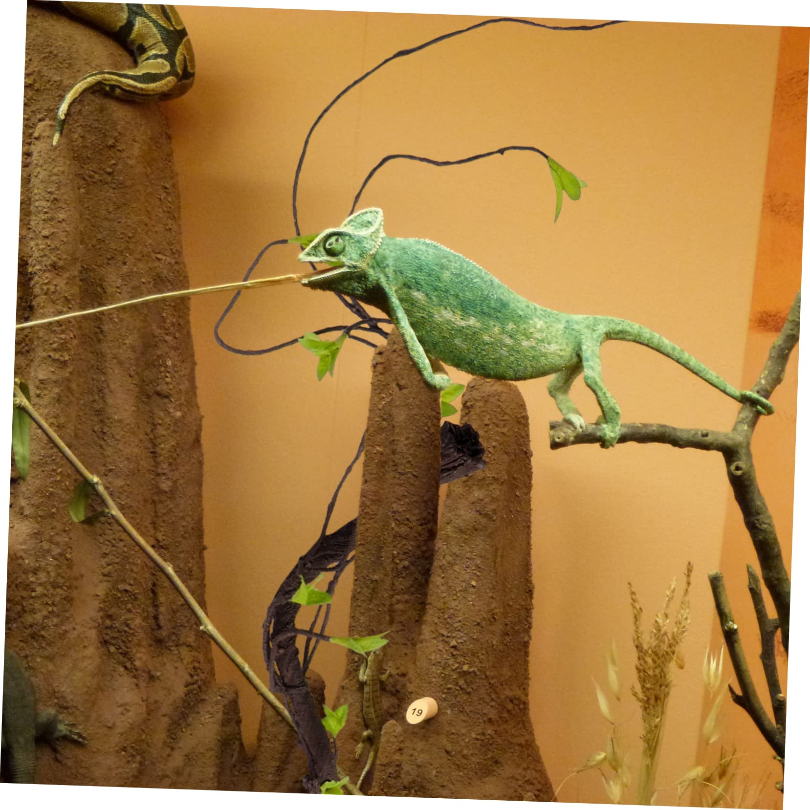Housoutil 2stücke Künstliche Rattan-kletterpflanze Für Terrarien Flexibel Und Wiederverwendbar Für Reptilien Lange Simulation Von Tropischen Pflanzen Stressreduzierende Dekoration Für