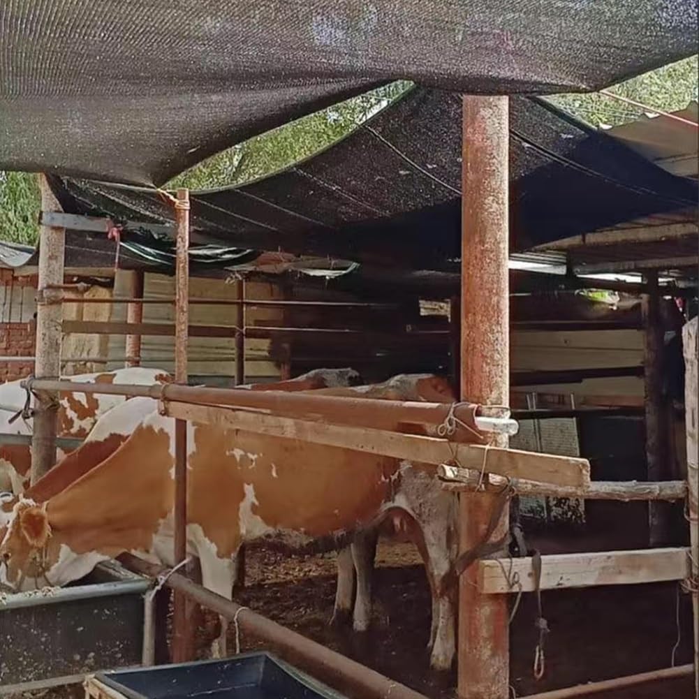 85% Sonnenschutznetz für Carports, Zäune & Gewächshäuser - UV-Schutz Sichtschutz Abdeckung, 1x2m bis 6x10m Optionen - Ideale per & Terrasse