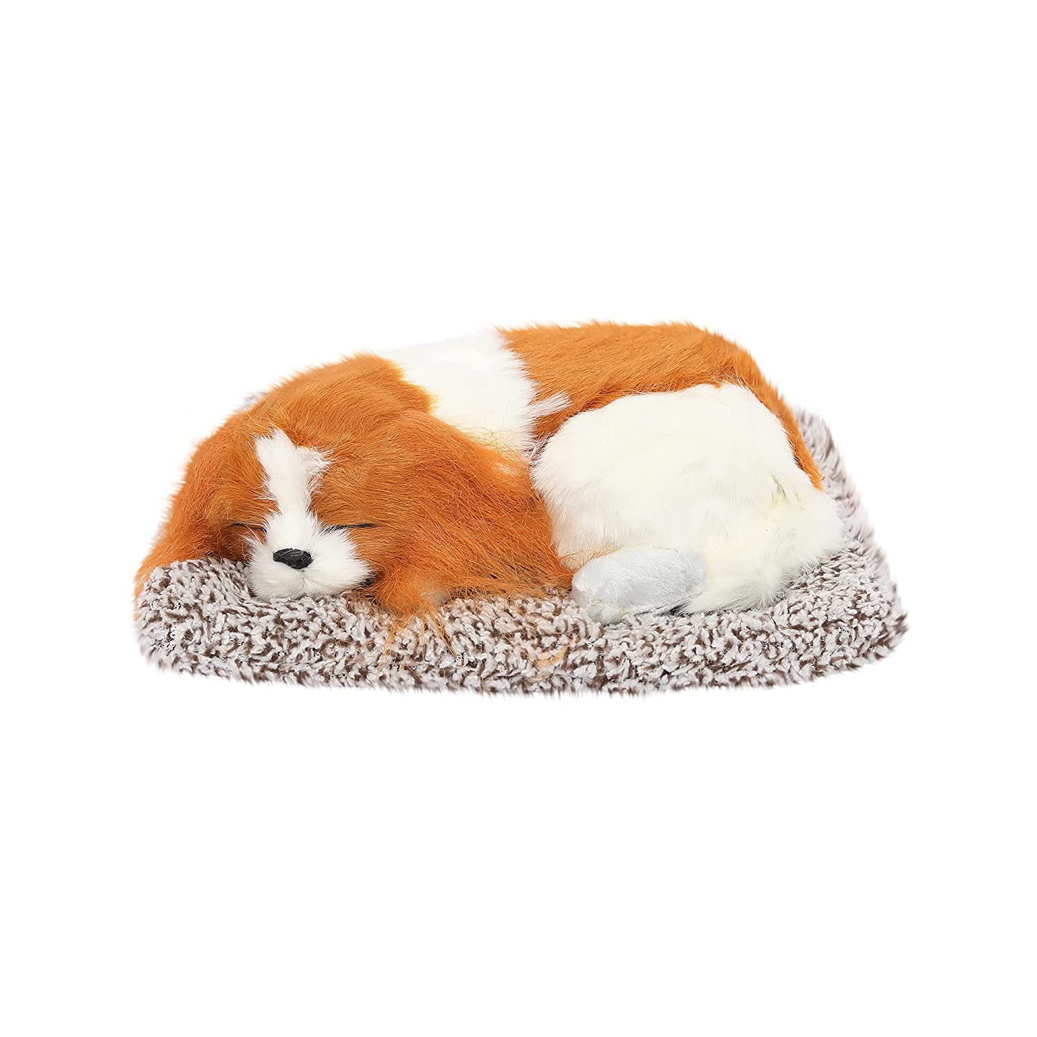 Ersdotter - Sleeping Cute Dog for Car Dashboard and Home D�cor with Activated Carbon for Decoration Toy Decorative Showpiece (Beige) (B09ZYT8VSL) Amazon Price History, Amazon Price Tracker