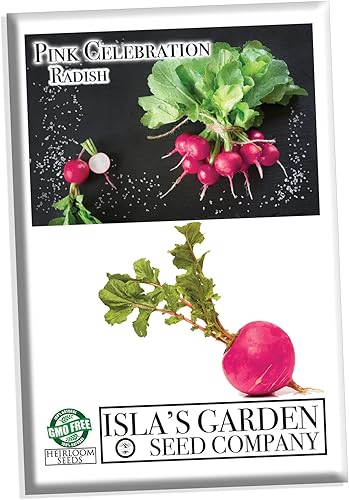 Semillas de rábano Pink Celebration, más de 100 semillas de reliquia por paquete, semillas de jardín de Isla (semillas de jardín de Isla), semillas