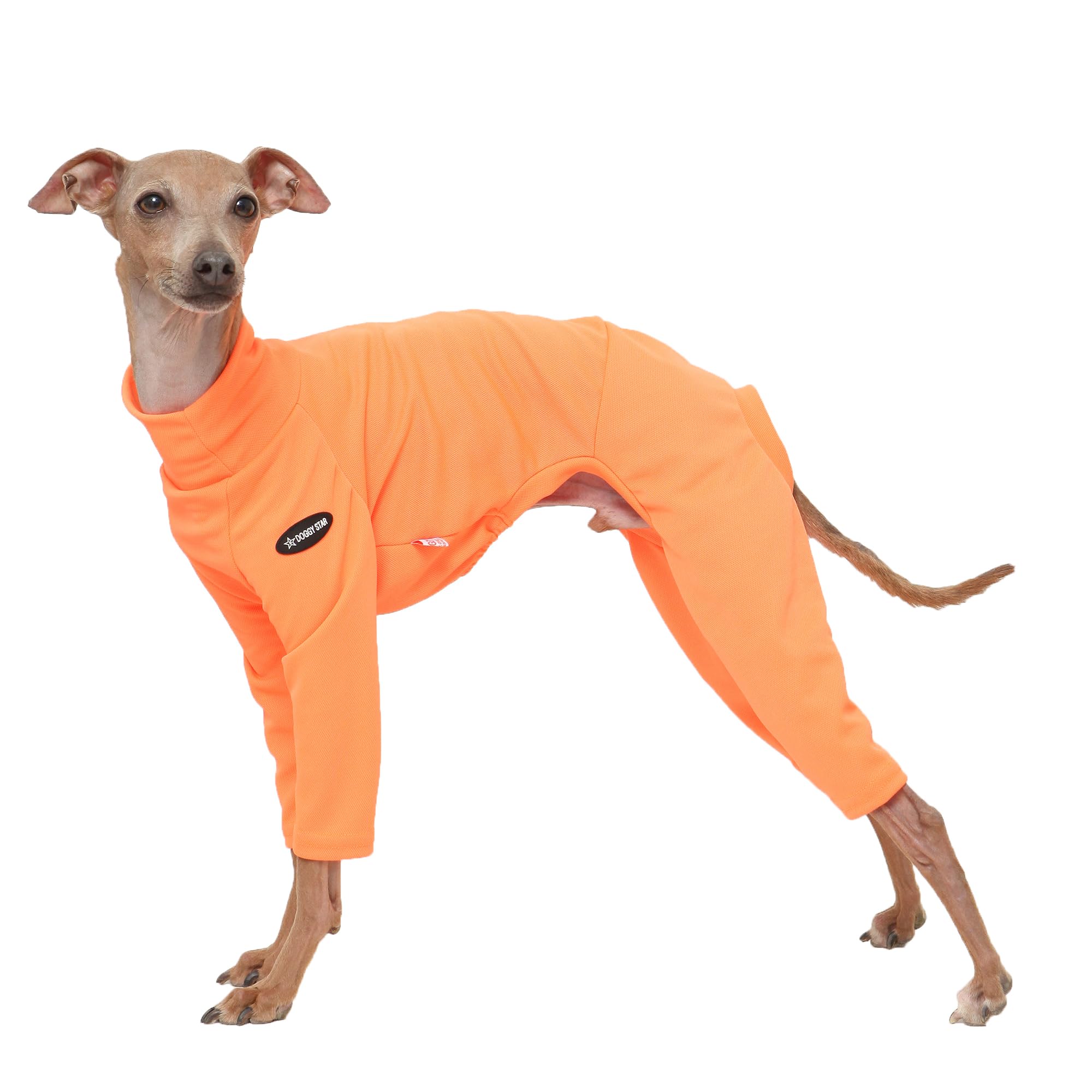 D Doggy Star Italian Greyhound Clothes Stretchy Neon Onesie Spring Summer (L,Onsi Ne Orange)
