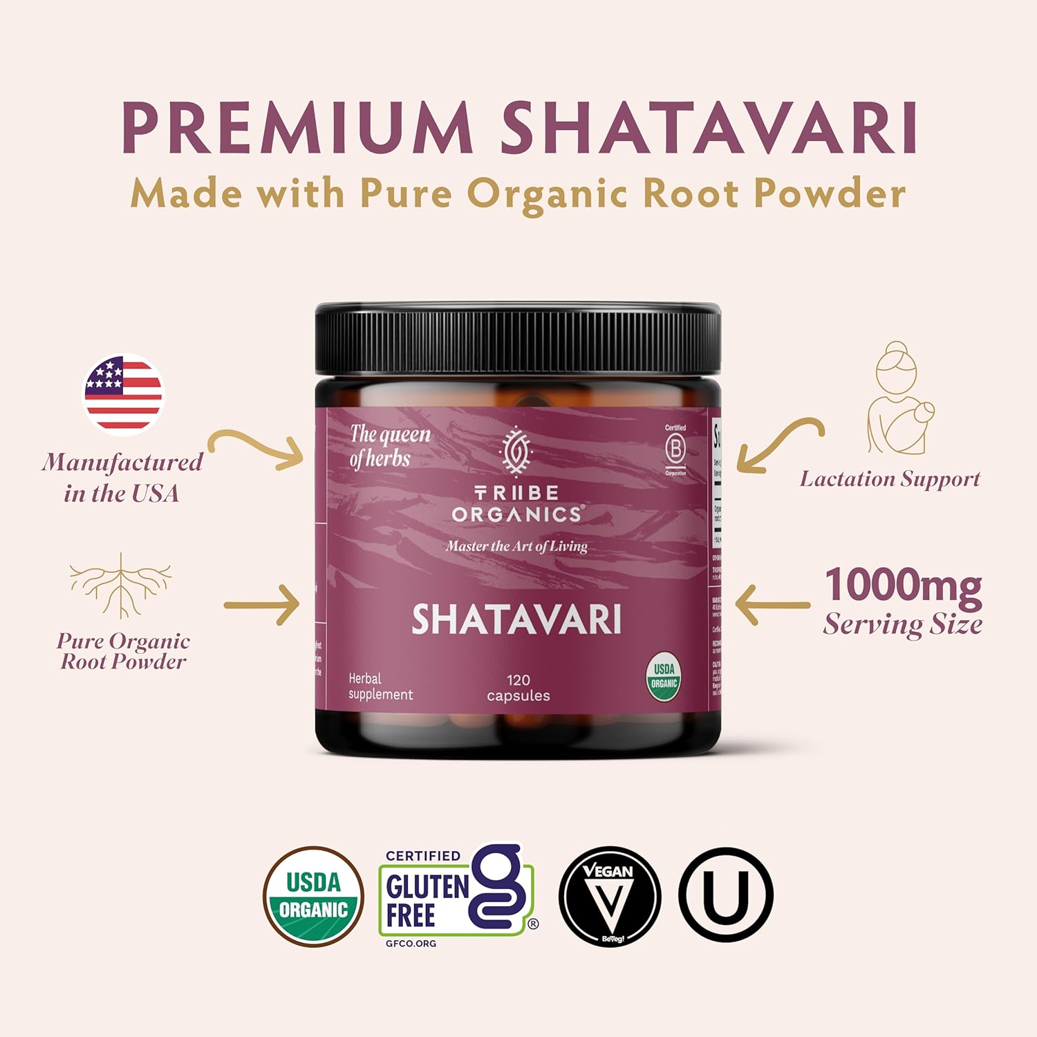 TRIBE ORGANICS Organic Shatavari Herbal Supplement - Hormonal Balance | Women’s Reproductive Health | Lactation | Immune & Inflammatory Support - Non-GMO USDA Organic 120 Vegan Capsules - Image 2