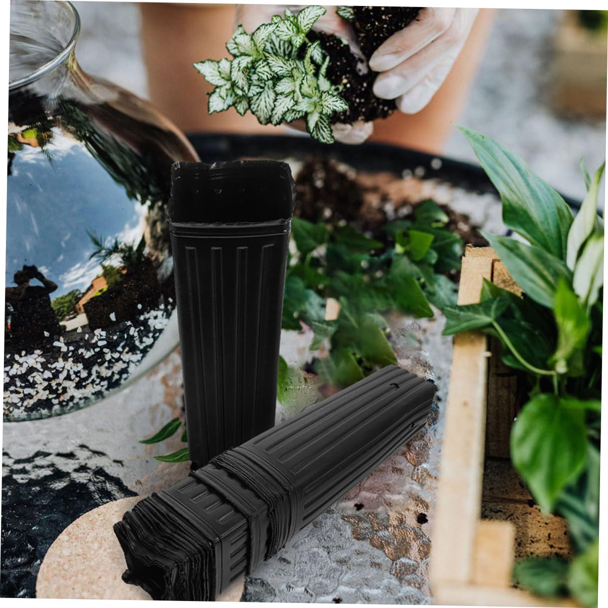 NOLITOY Lot de 60 Pots de Semis Noirs en PP Perméabilité à l'eau et Protection des Racines, Pots Profonds pour Arbres et Plants en Pépinière