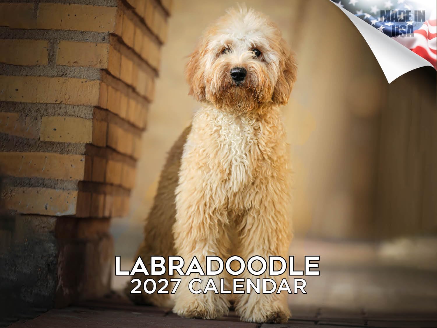 2024 2025 Labradoodle Calendar - Dog Breed Monthly Wall Calendar - 12 x 18 Open - Thick No-Bleed Paper - Giftable - Academic Teacher's Planner Calendar Organizing & Planning - Made in USA — image 1