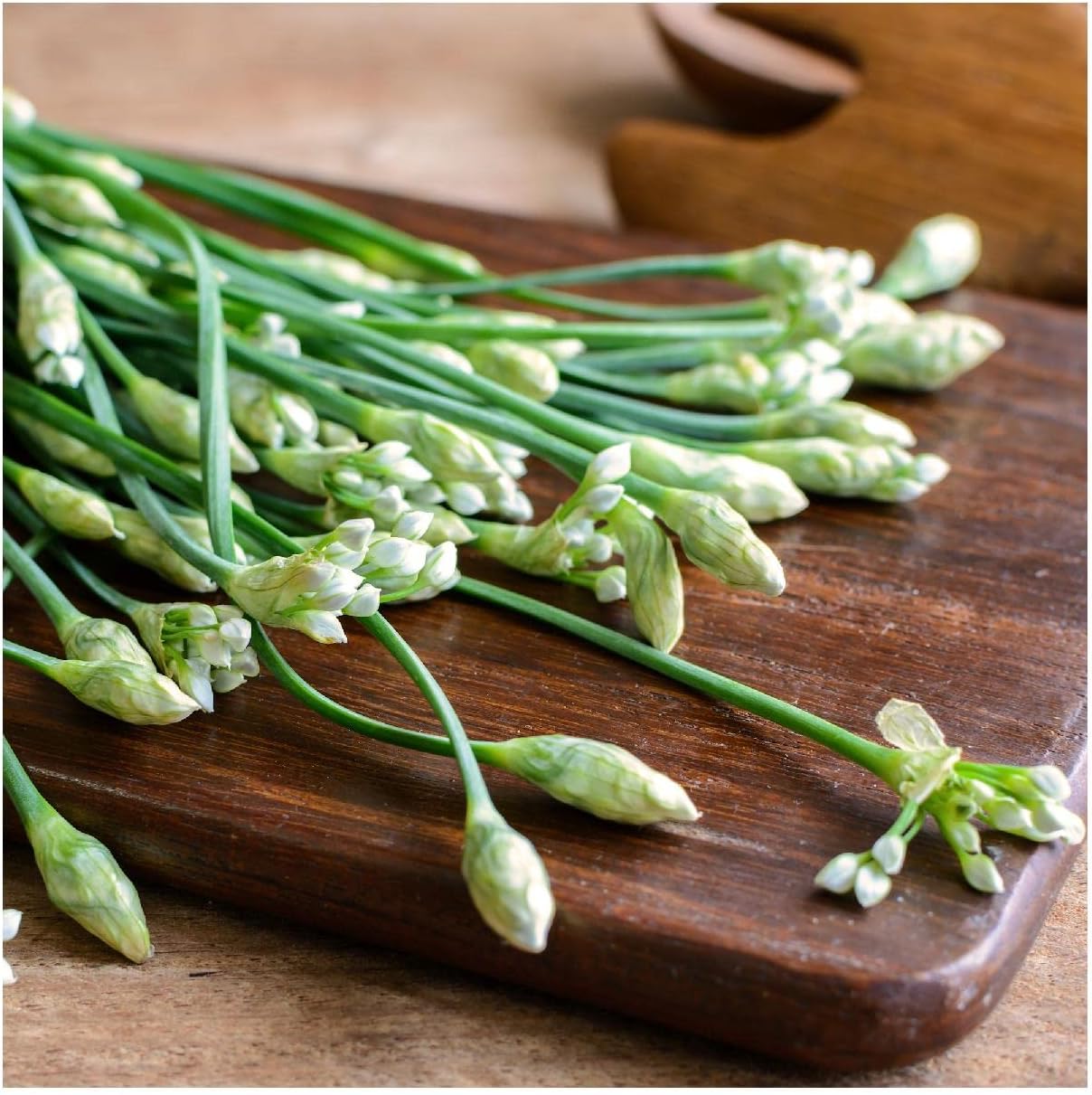 Everwilde Farms - 1 Lb Garlic Chives Herb Seeds - Gold Vault