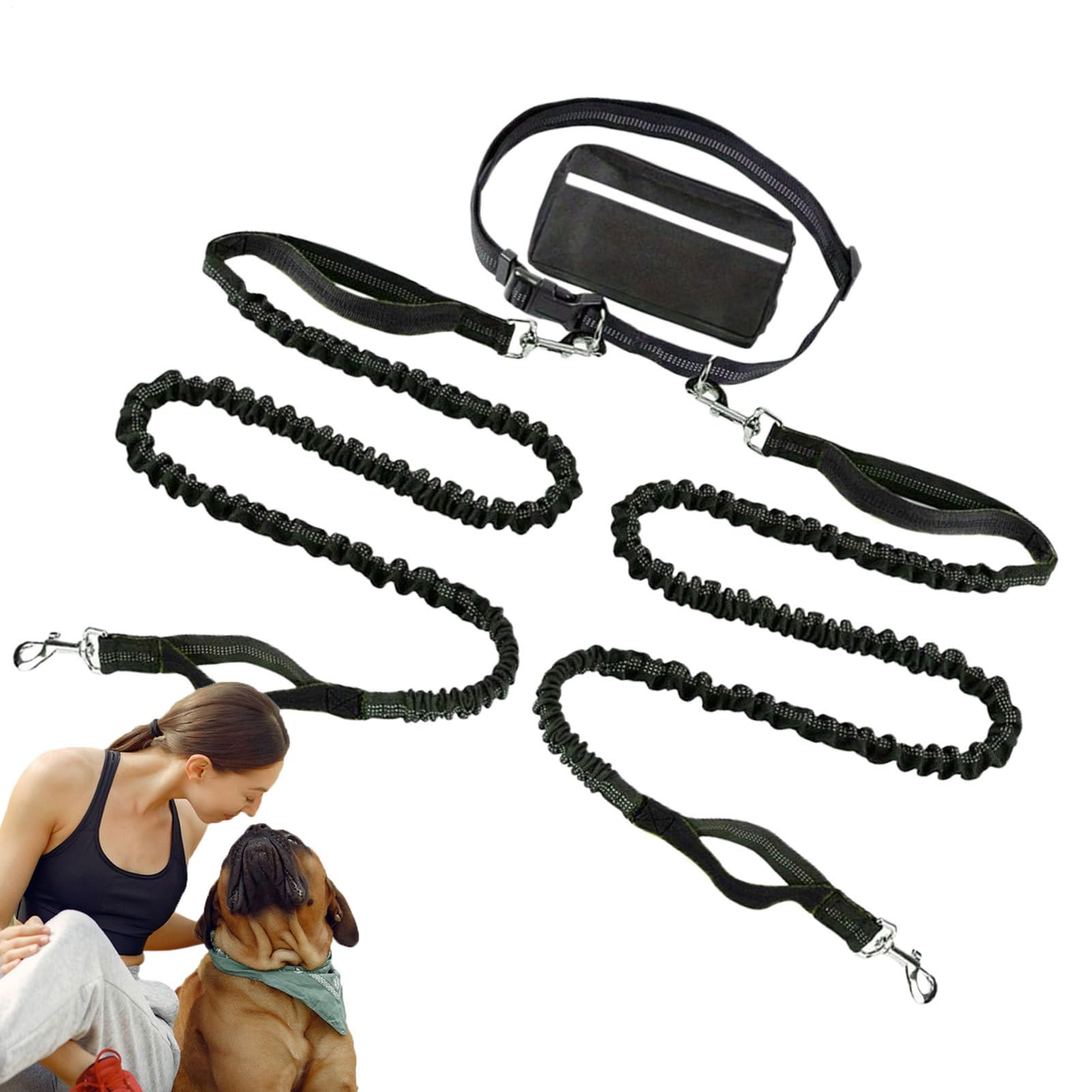 Laisse en nylon pour courir et camping avec votre chien actif