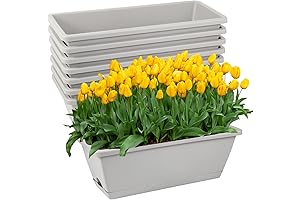 8pcs Window Box Planter, Rectangle Planters with Drainage Holes and Trays, Plastic...