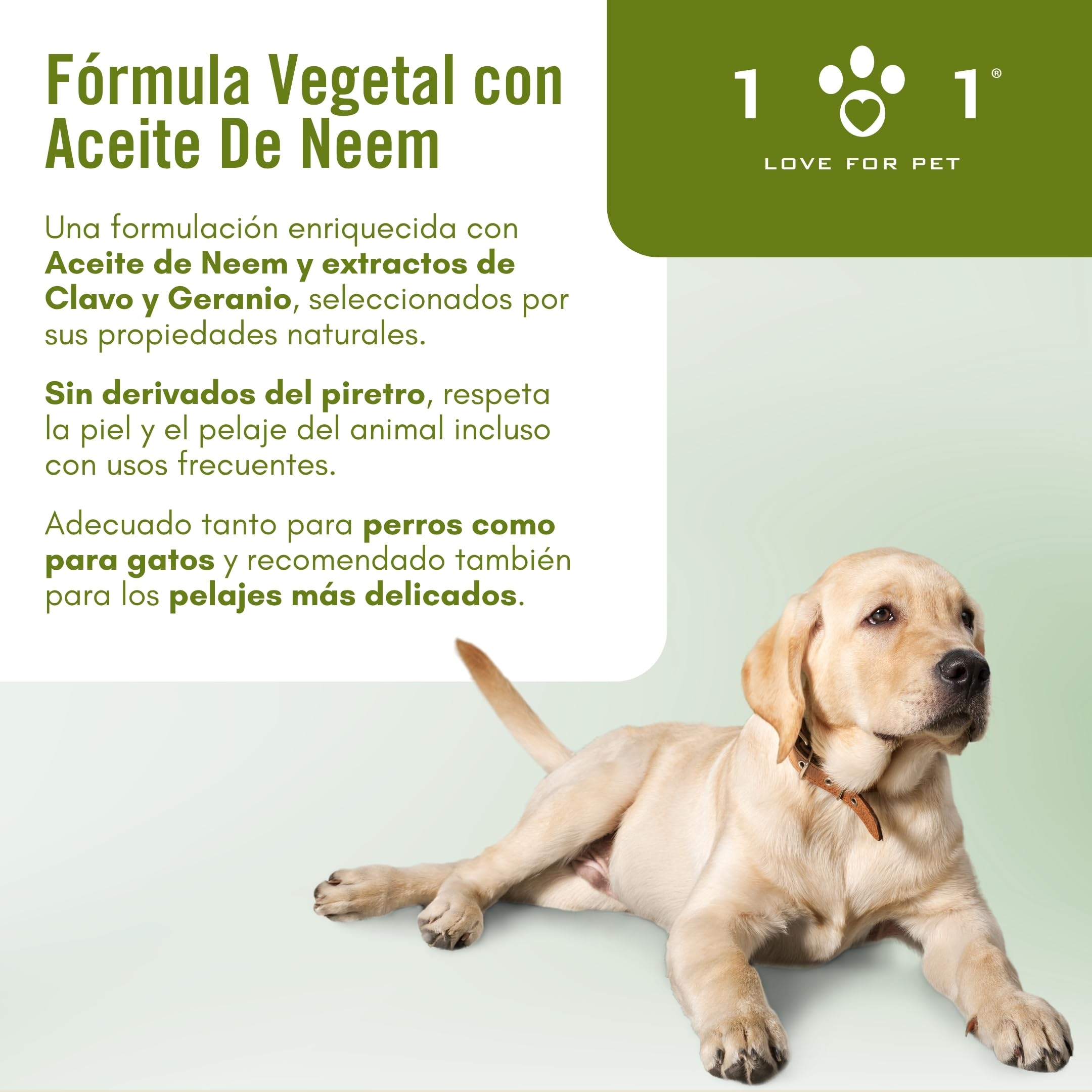 Champú Antiparasitario Perros y Gatos 250ml, Champú Aceite de Neem, Repelente Garrapatas Perros, Antigarrapatas, con Extractos de Clavo y Geranio, Champú Perro Linea 101 Made in Italy