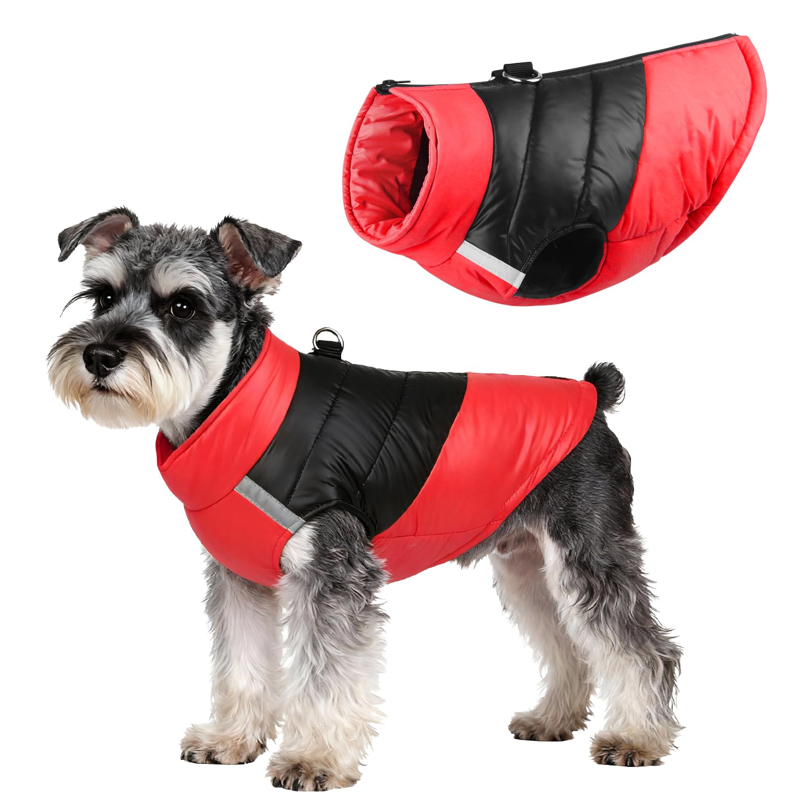 Veste pour chiens coupe-vent imperméable et chaud taille M