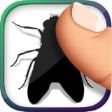 Flies' Killer