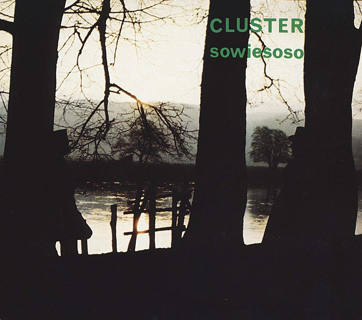 Amazon.co.jp: Sowiesoso: ミュージック