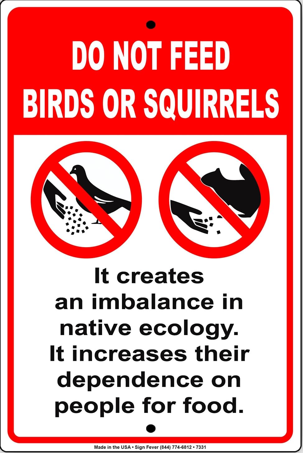 Do Not Feed Birds Or Squirrels Wall Art Decor Novelty Notice Metal Sign