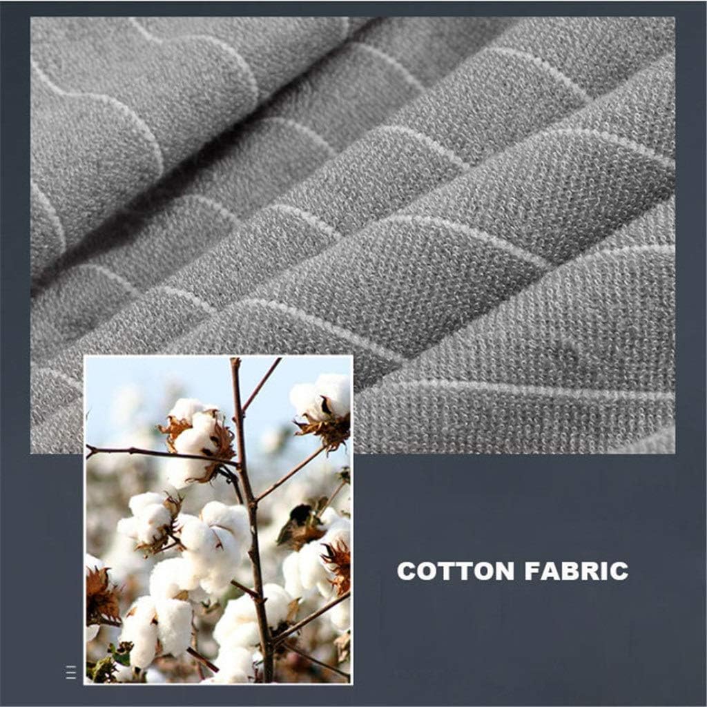 イノキゲノム 旗揚シリーズ DVD-BOX〈生産限定2,000セット・3枚組